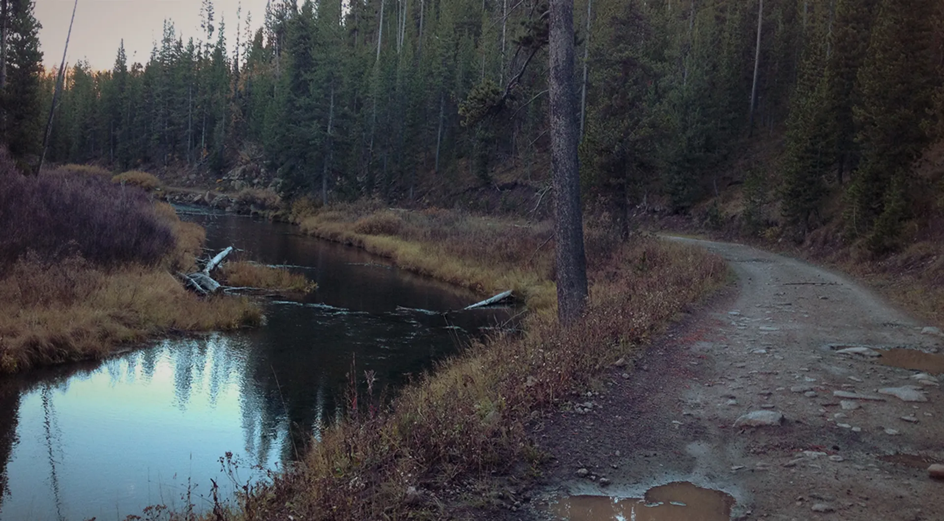 Yellowstone Half Marathon