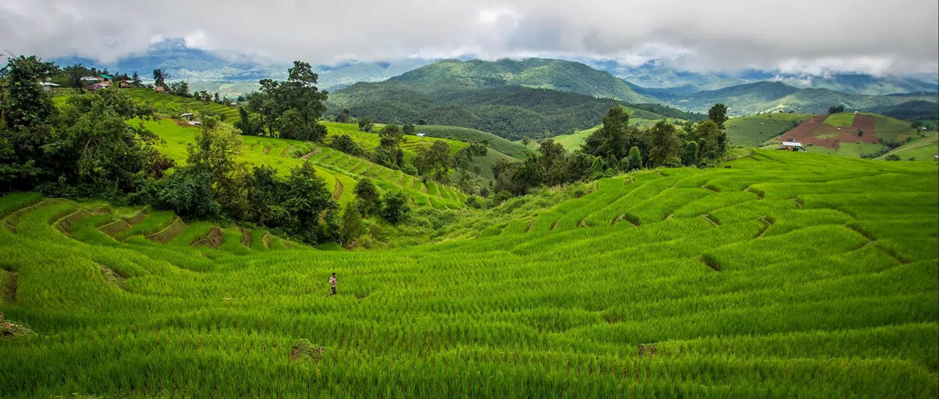 Ultra Trail Chiang Mai