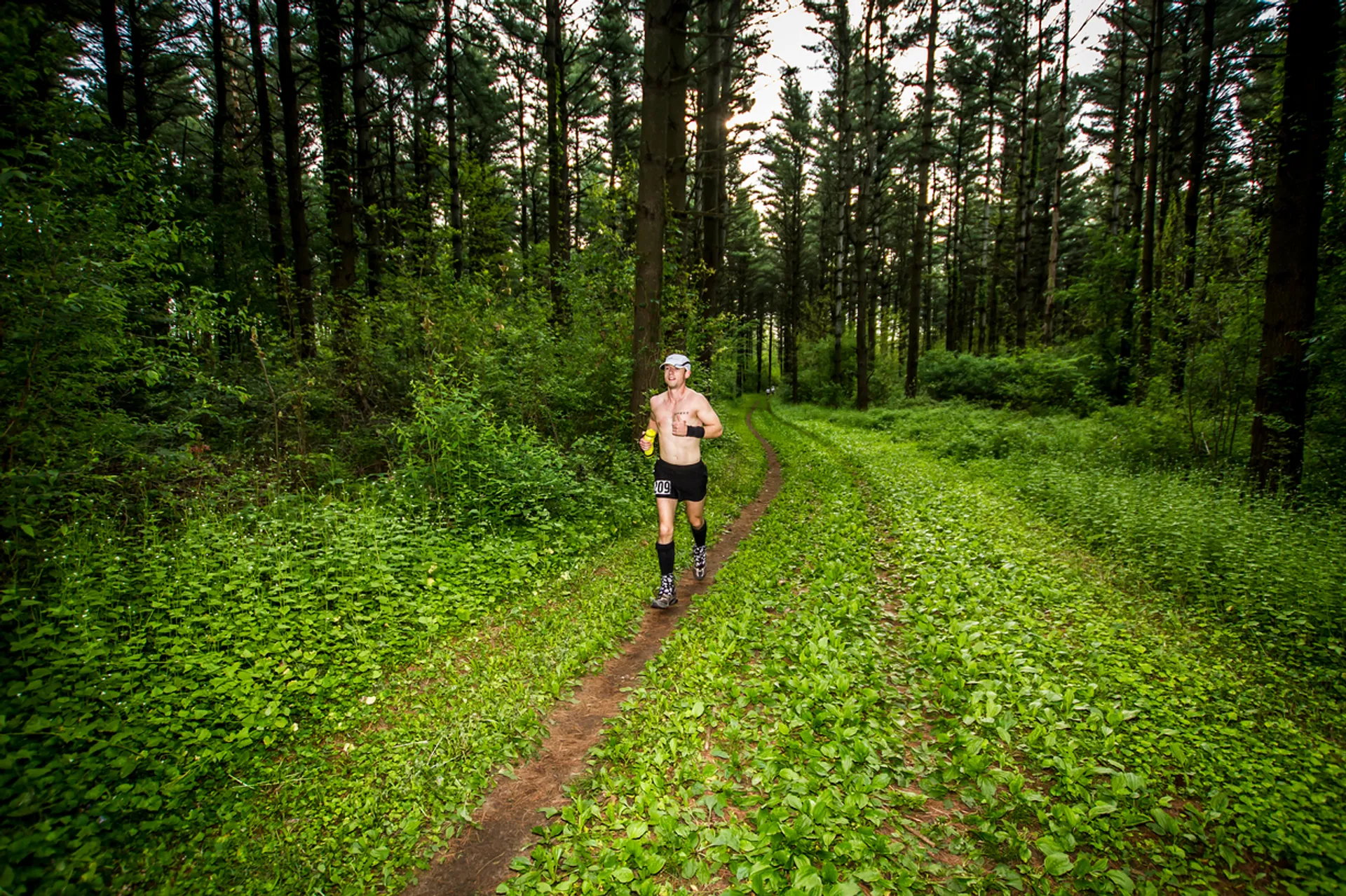 In the image, you can see a person jogging on a narrow path through a