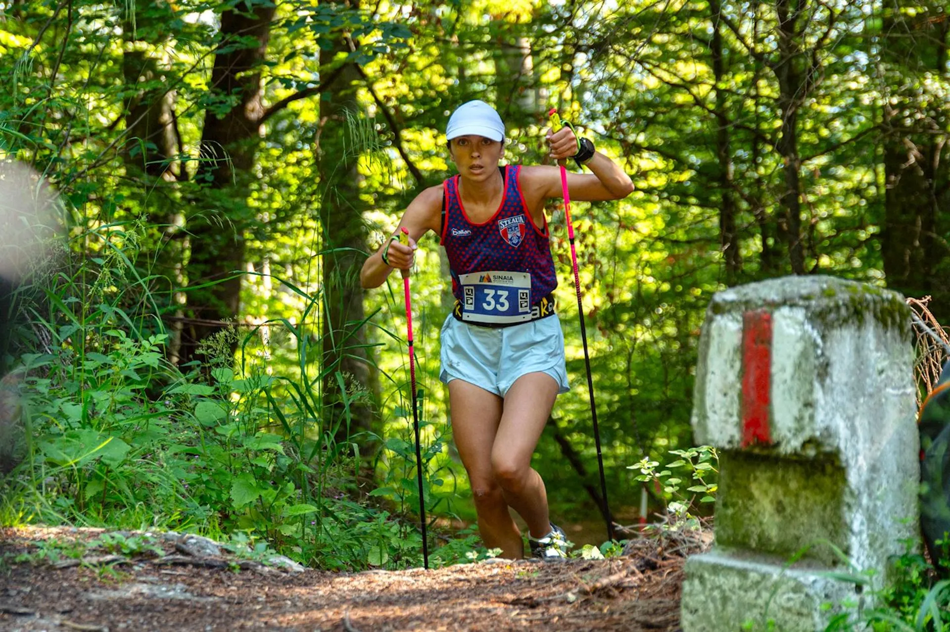 Sinaia Mountain Run - main photo