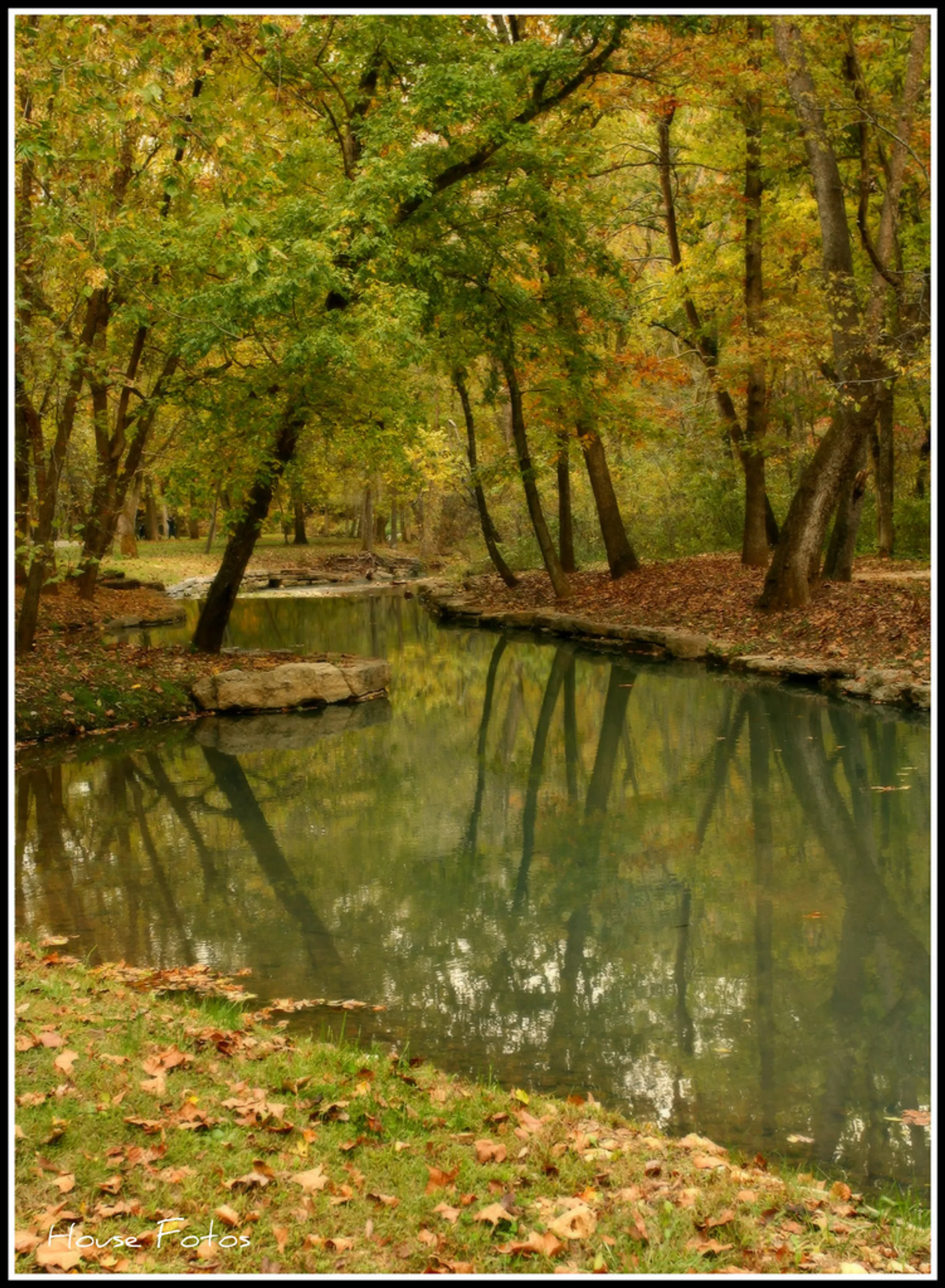 The image depicts a serene nature scene with a calm body of water, possibly a
