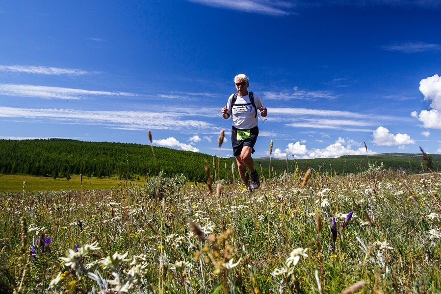 Only in Mongolia: Running through a sea of Edelweiss.
