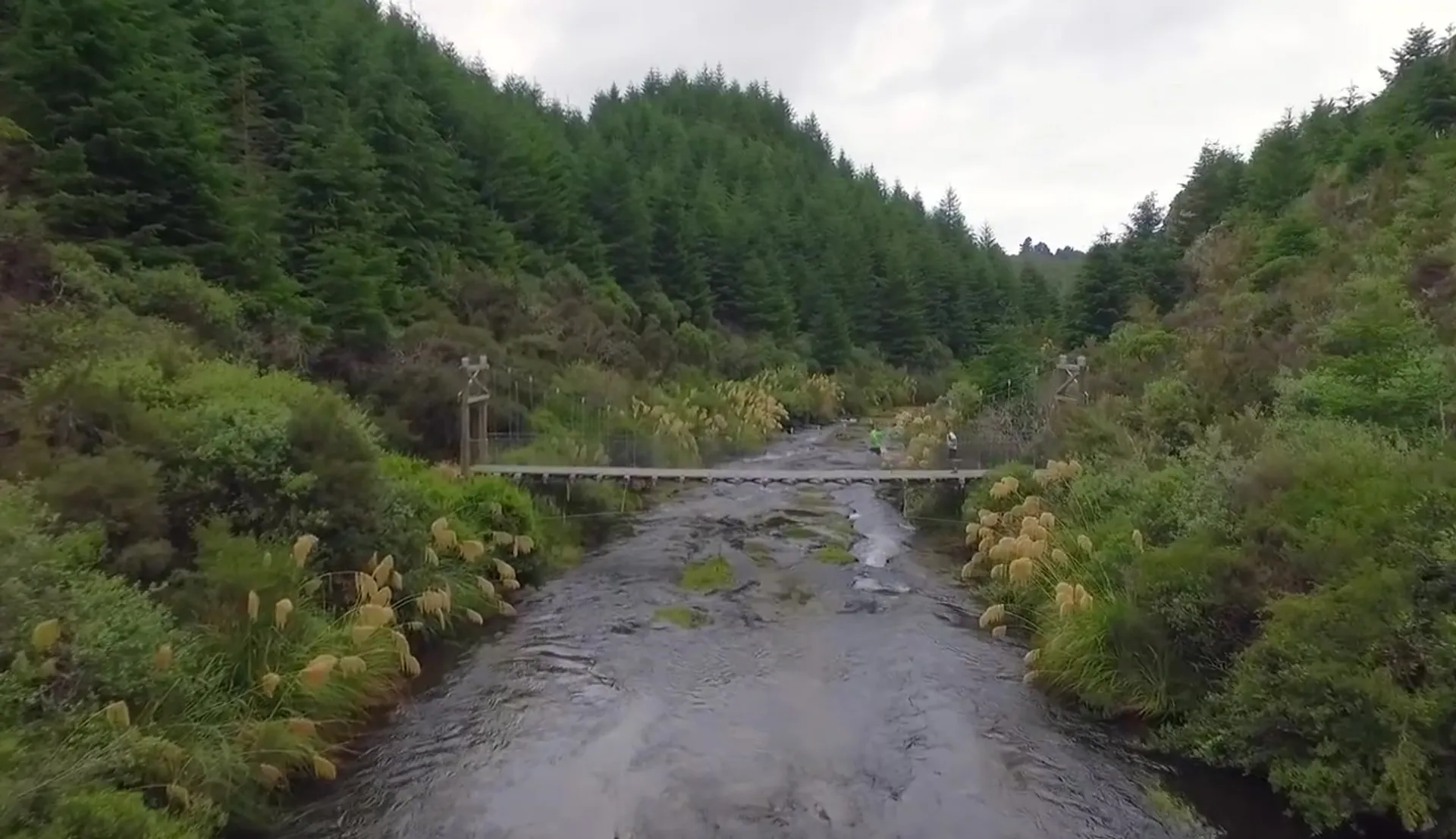 The image shows a serene natural scene with a river flowing through a landscape with abundant