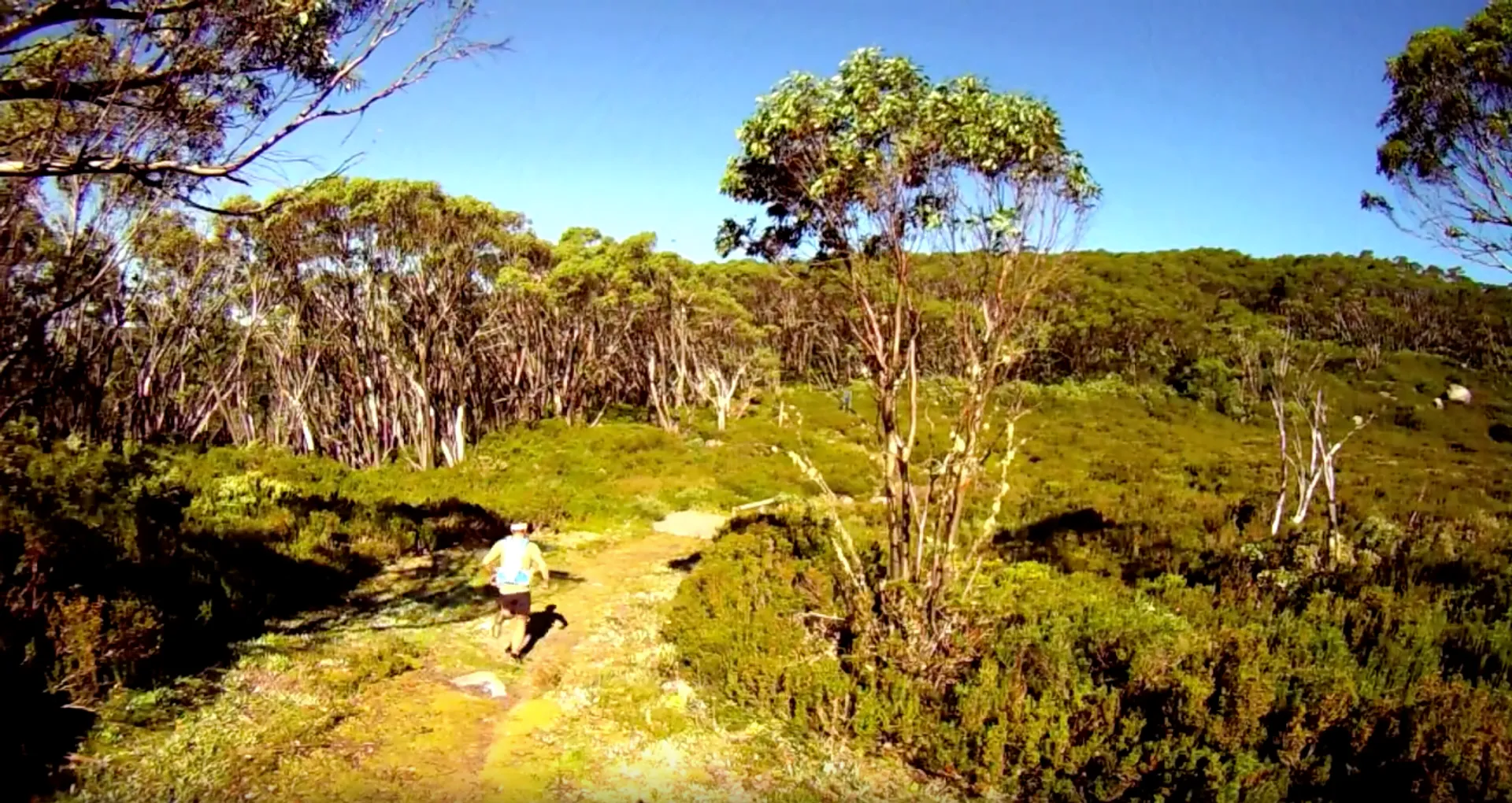The image shows a person running on a trail through a natural landscape. The surrounding