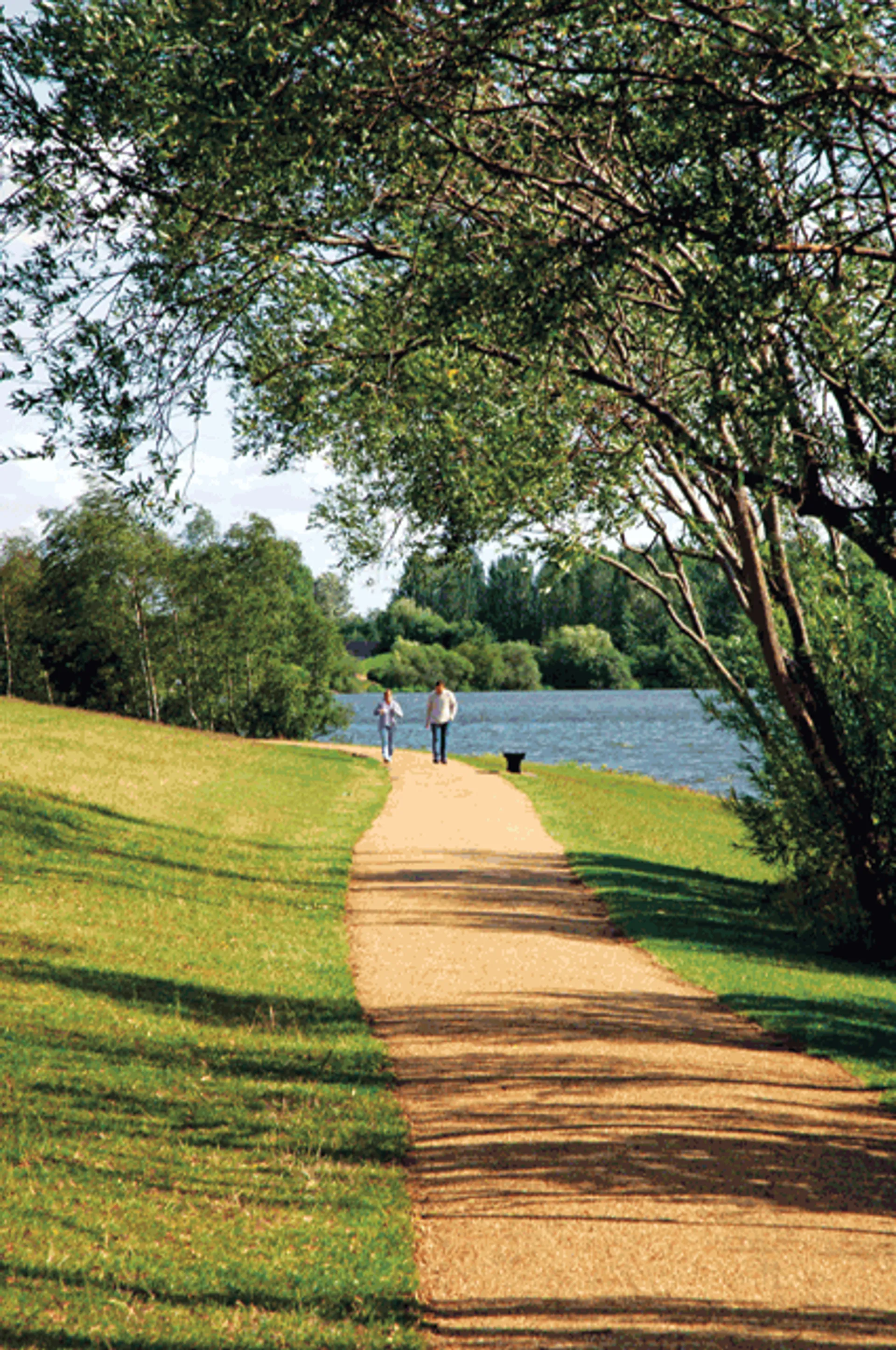 The image shows a scenic outdoor setting with a gravel pathway leading through a grassy