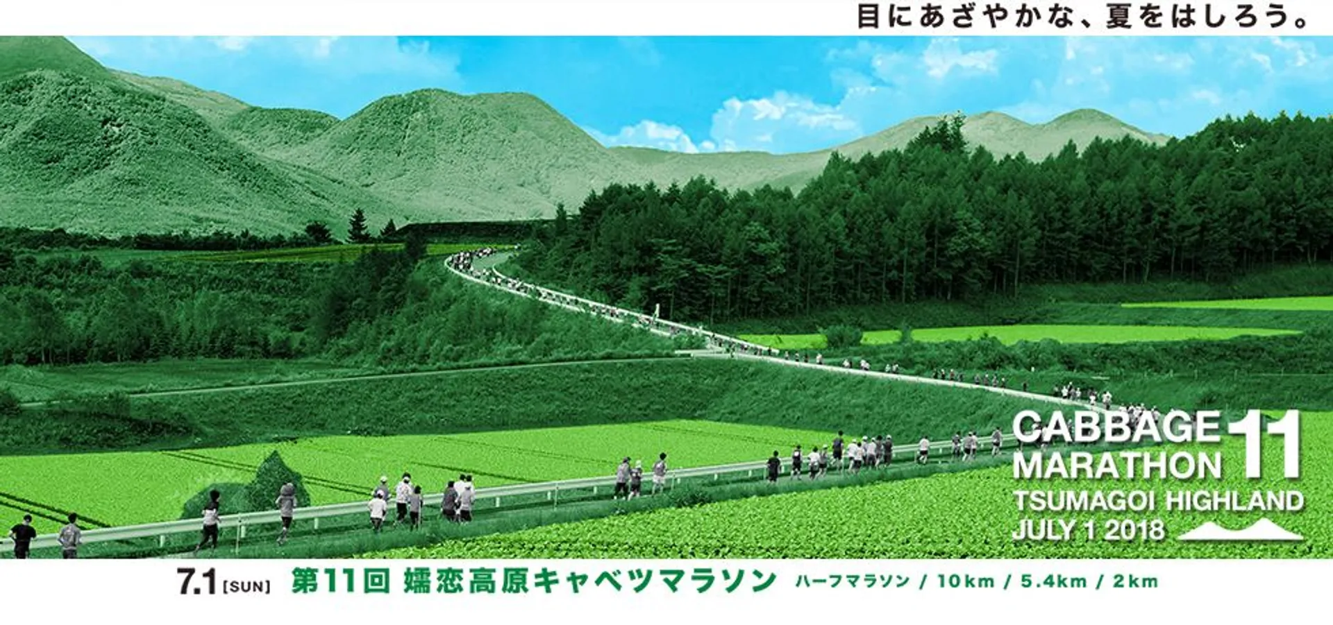 Cabbage Marathon - main photo