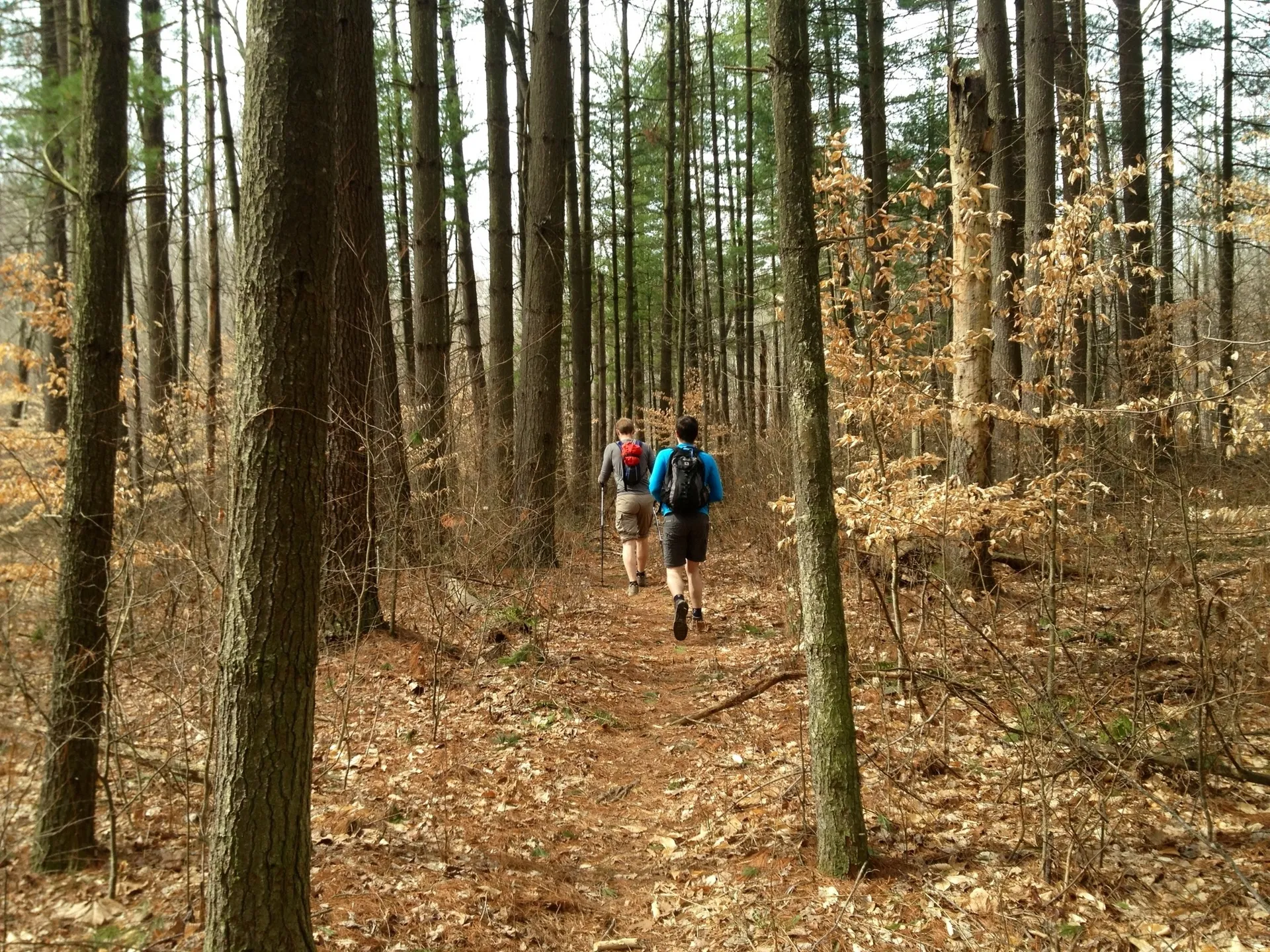 Knobstone Trail Run