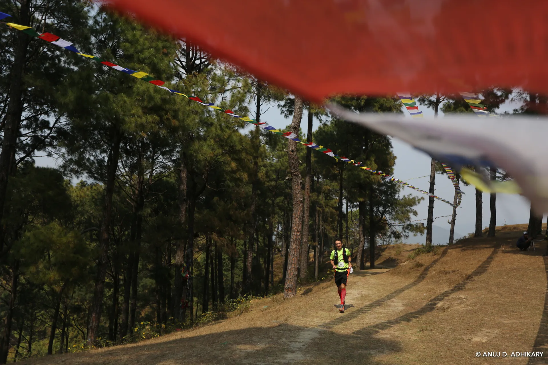 The image shows a person running on a trail through a forested area with tall