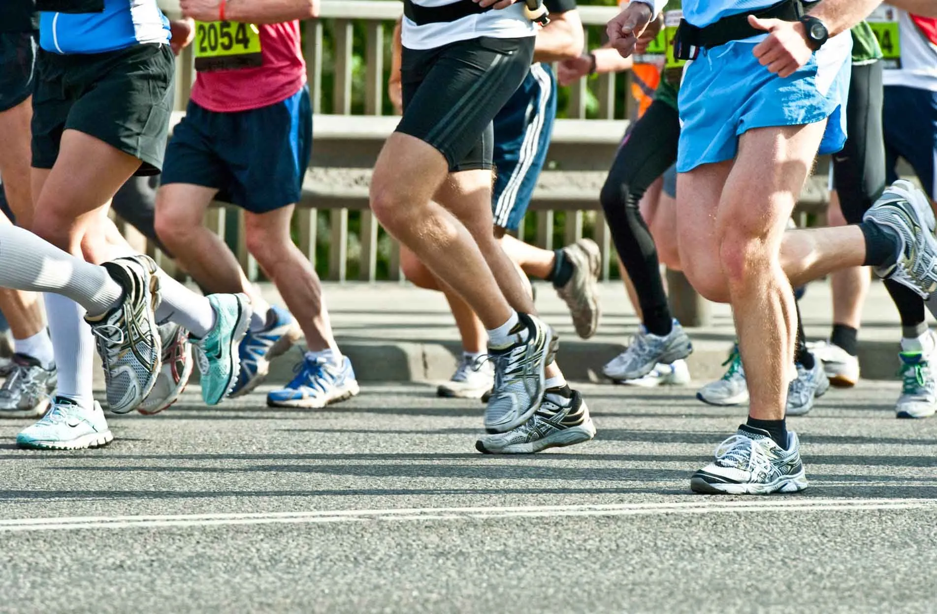 Marathon to Marathon, 26 Oct, 2024 (Sat) Ahotu