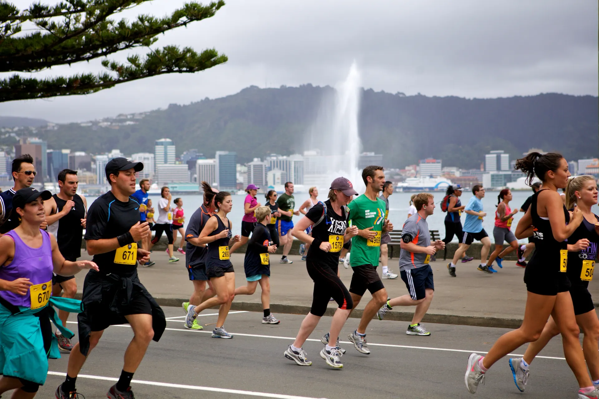 Brendan Foot Supersite Round the Bays