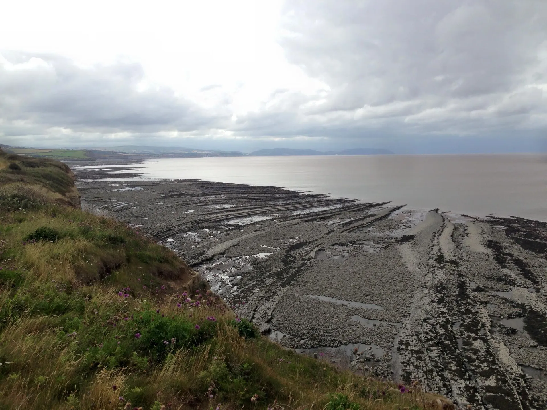 This image shows a coastal landscape with a mix of natural elements. On the left