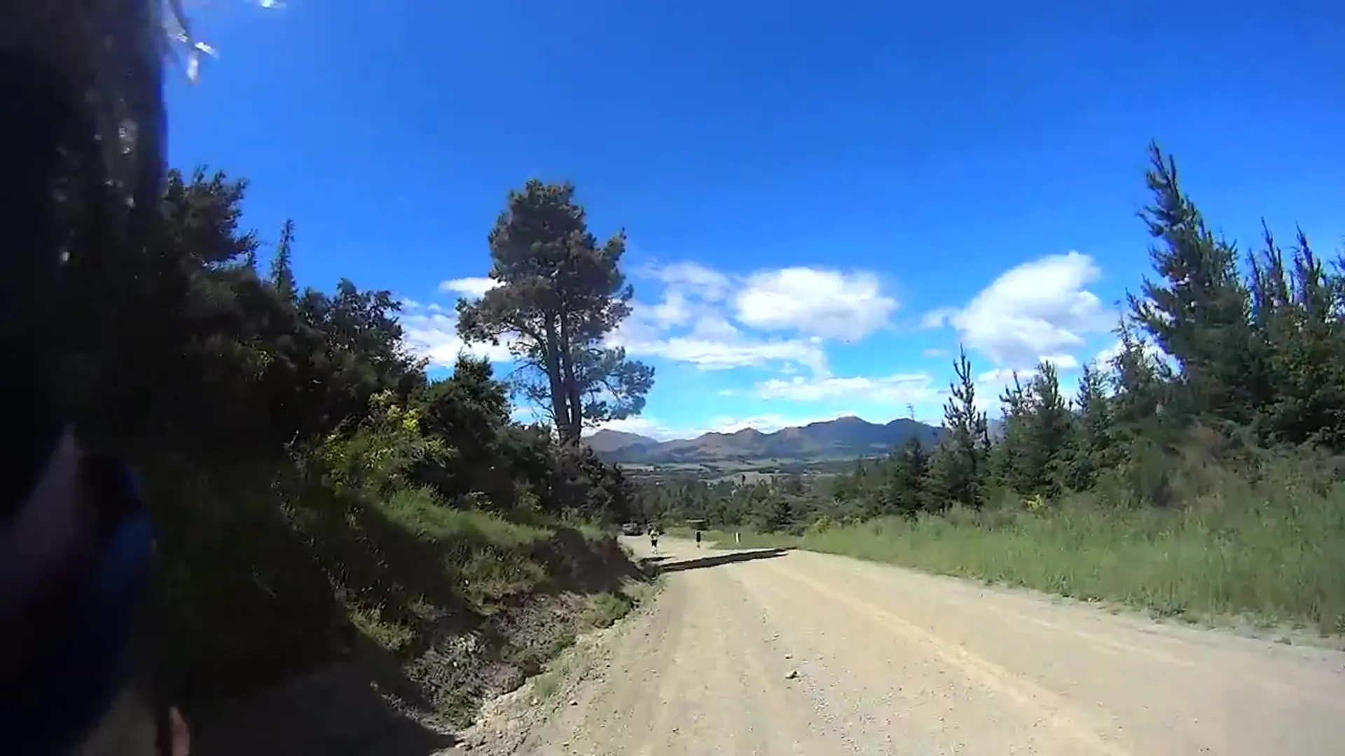 The image shows a dirt road surrounded by greenery—trees and shrubs on