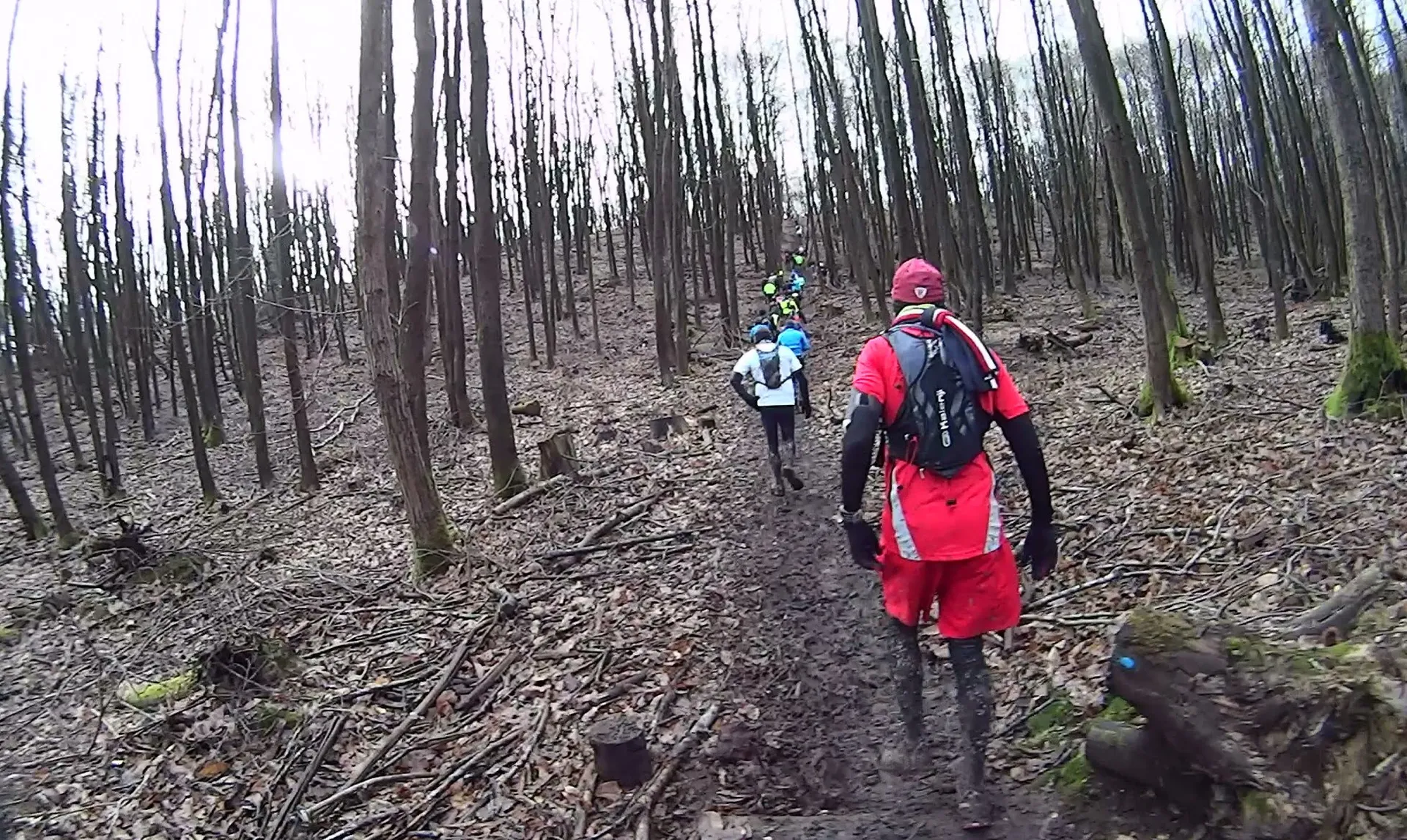 The image shows a group of individuals hiking through a forest. They are walking on