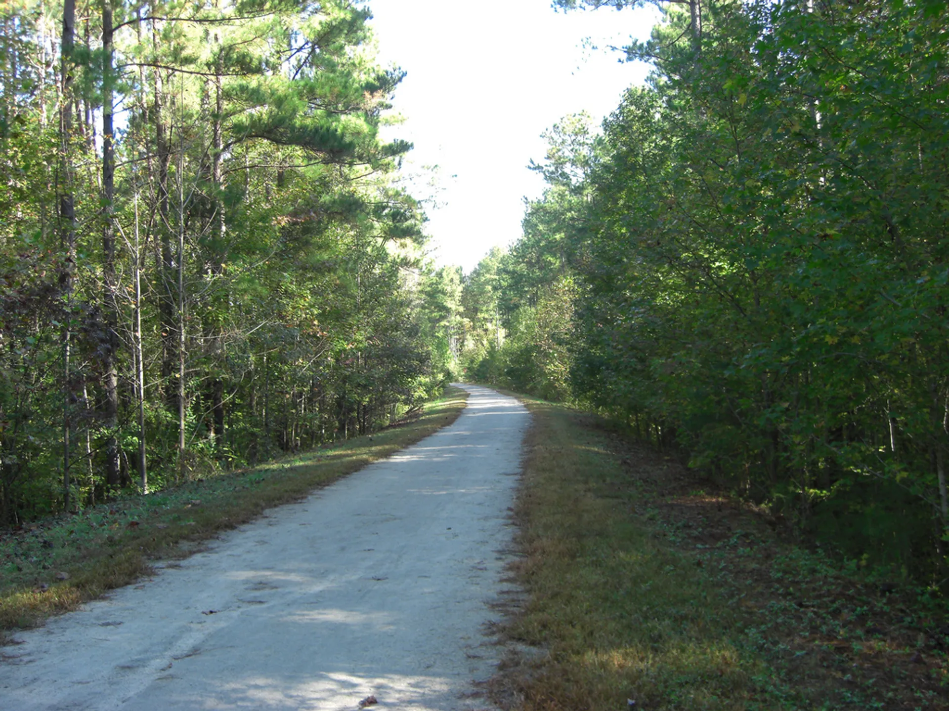 The image shows a tranquil, straight stretch of a country road with a mix of