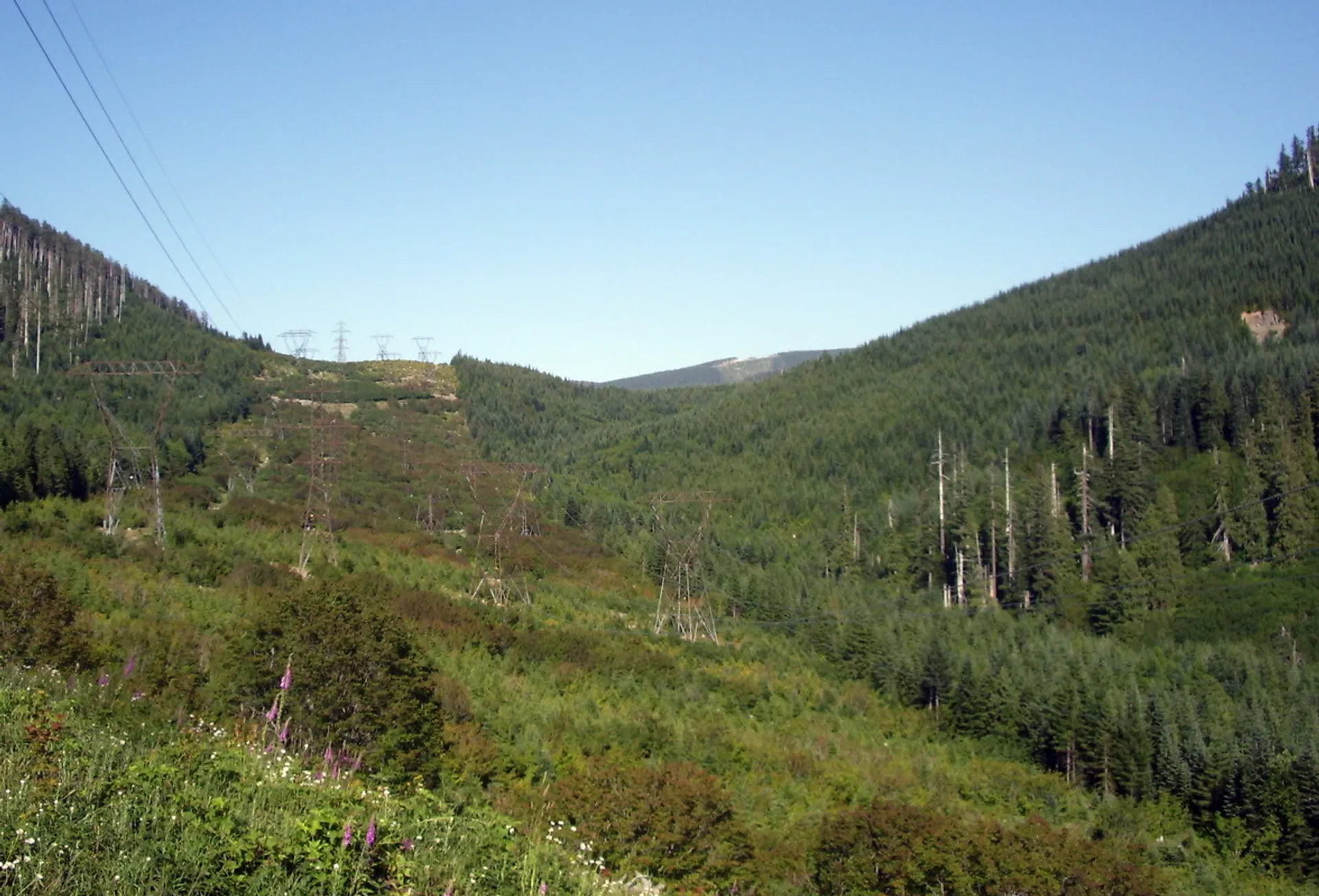 Mountain to Meadow Half Marathon & 10k - main photo