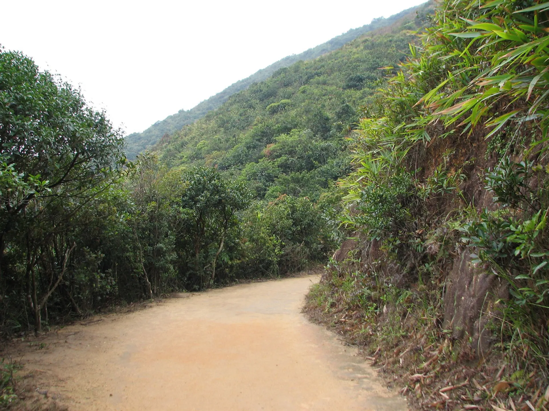 Raleigh Challenge Wilson Trail - main photo