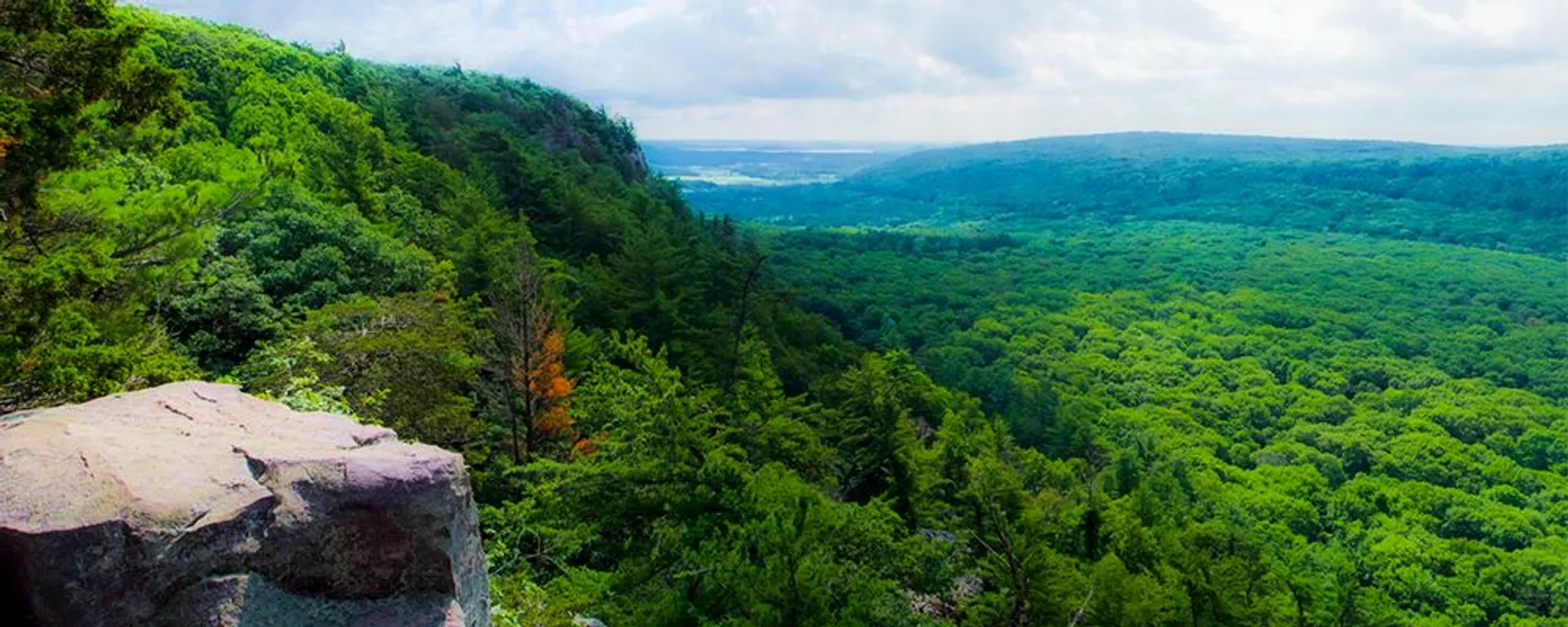 The image shows a panoramic view of a lush, forest-covered landscape from a high