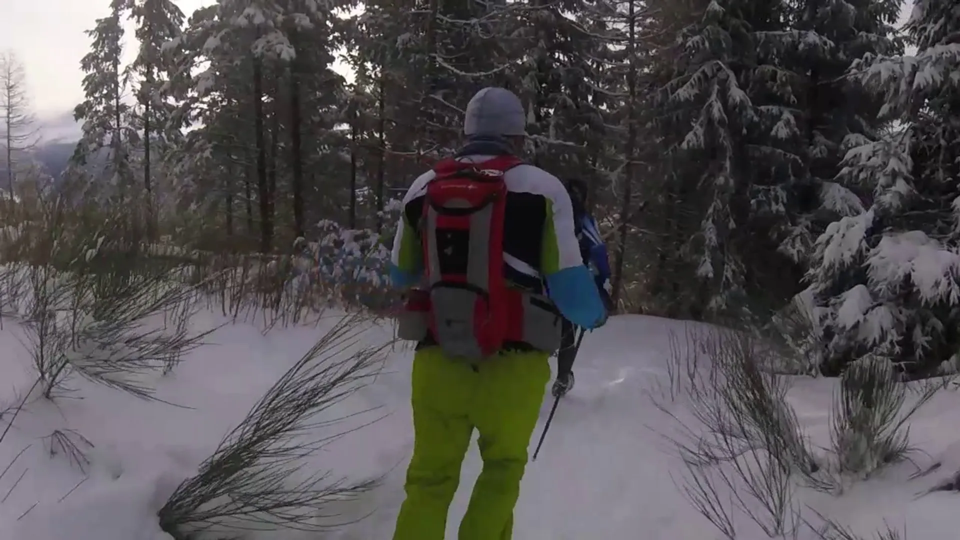 The image shows a person from behind while they are walking in a snowy landscape.