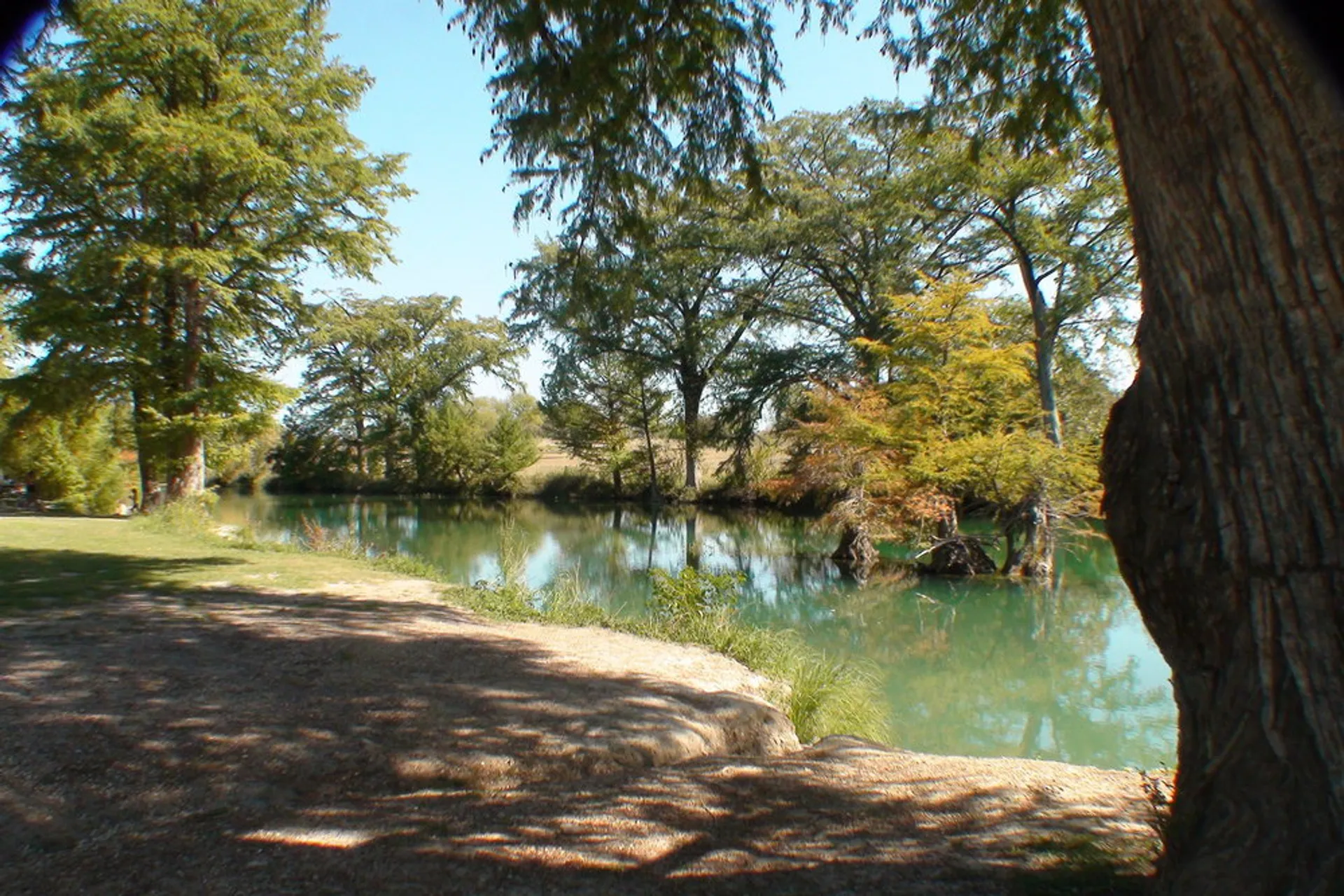 Cactus Rose Endurance Trail Race