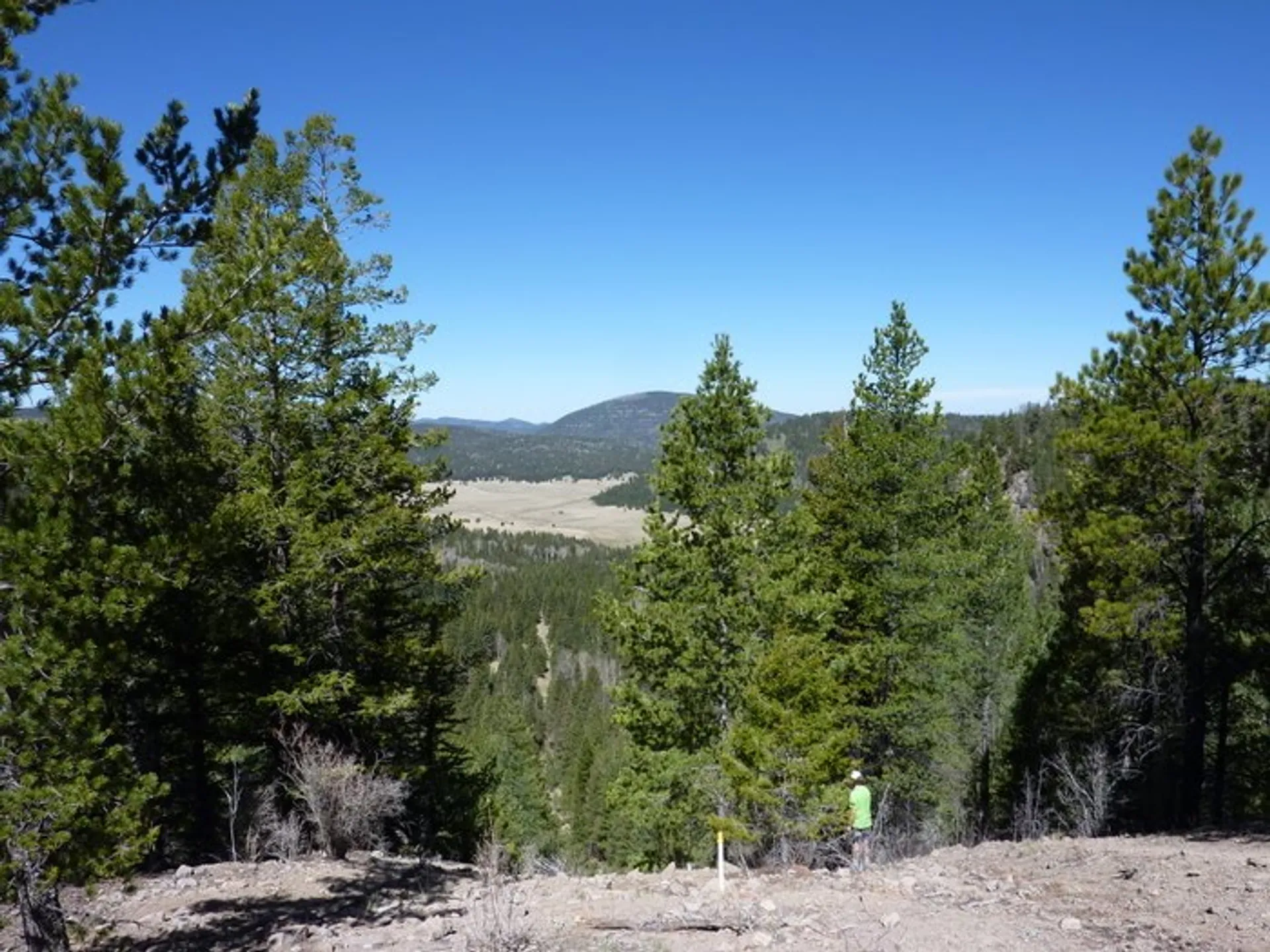 The image shows a scenic natural landscape with a focus on a forested area.