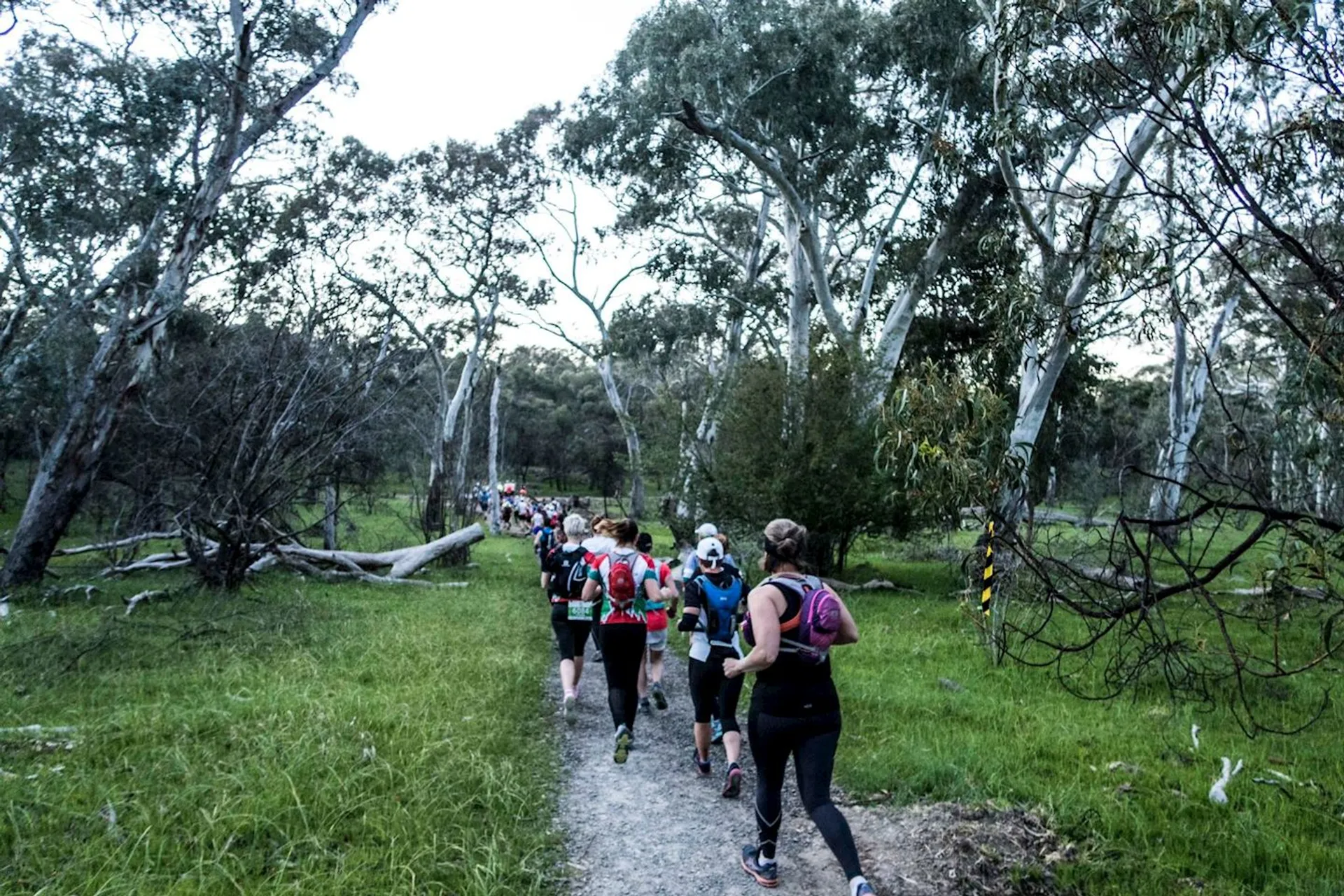 Yurrebilla Trail