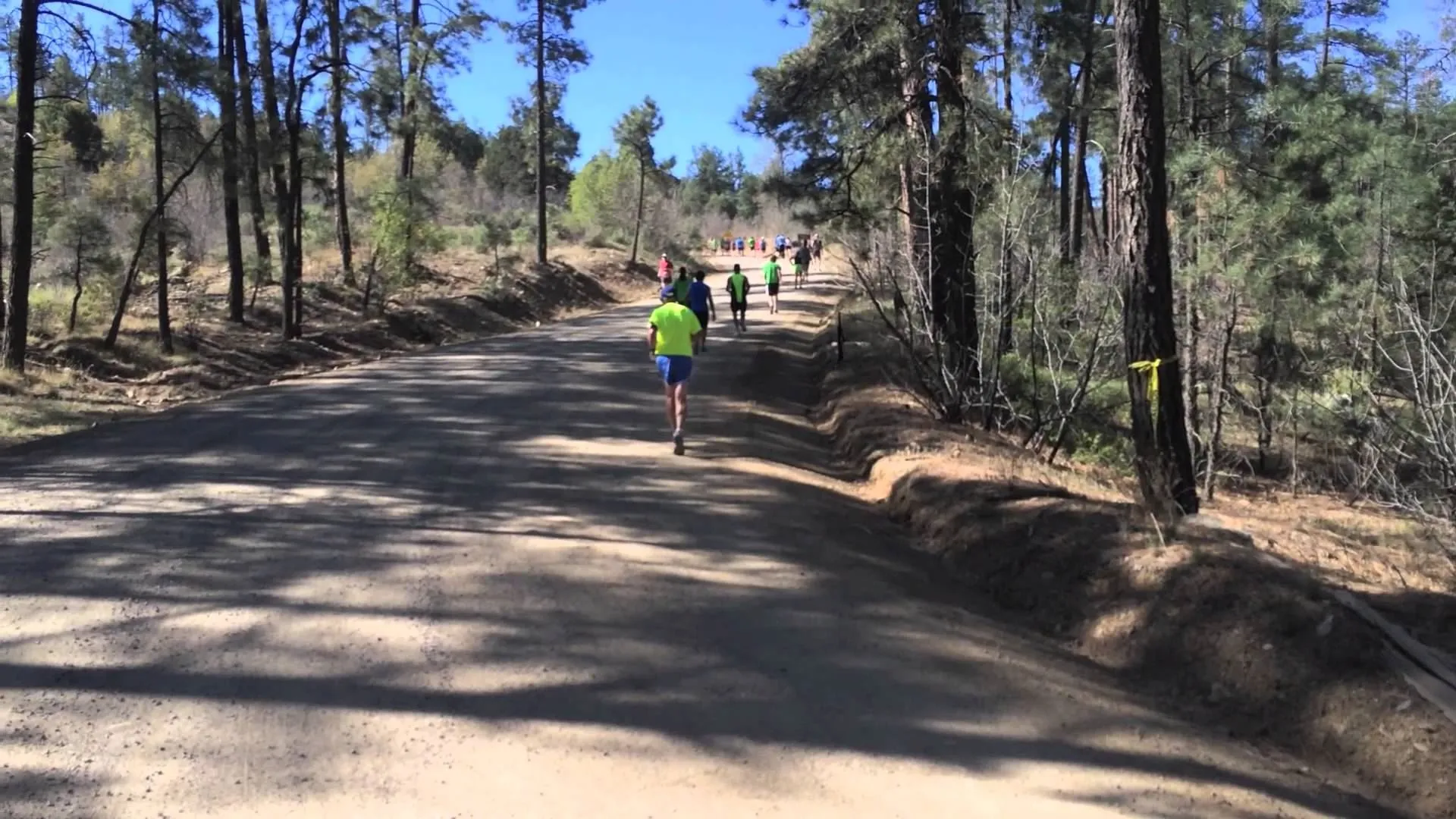 The image depicts a group of individuals participating in a running event or race. They