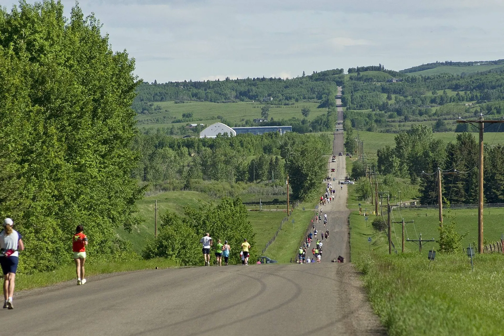 Millarville "Run To The Farmers' Market" Half Marathon