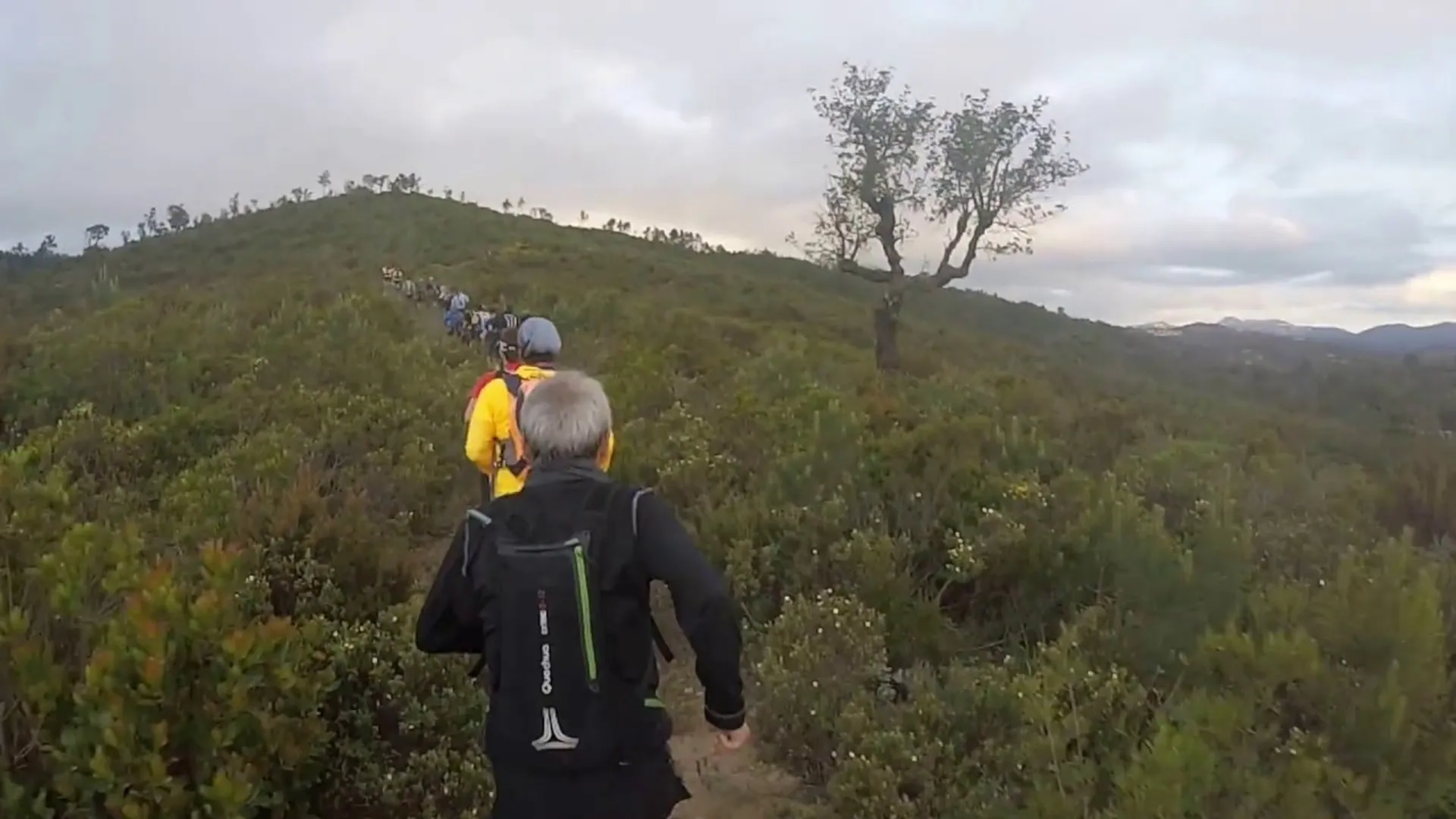 The image shows a group of people hiking on a trail through a natural landscape.