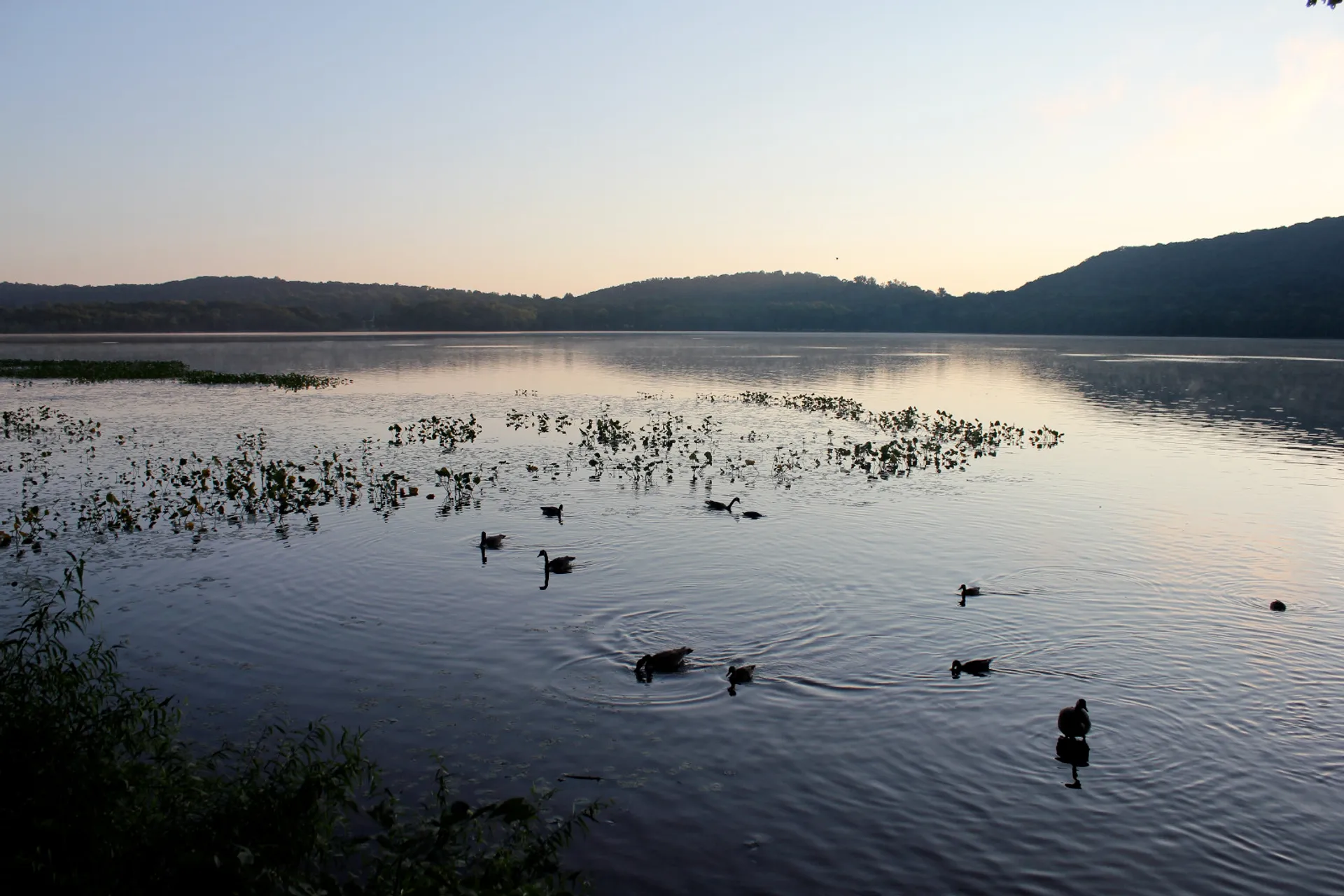 The image depicts a tranquil scene of a body of water, likely a lake or