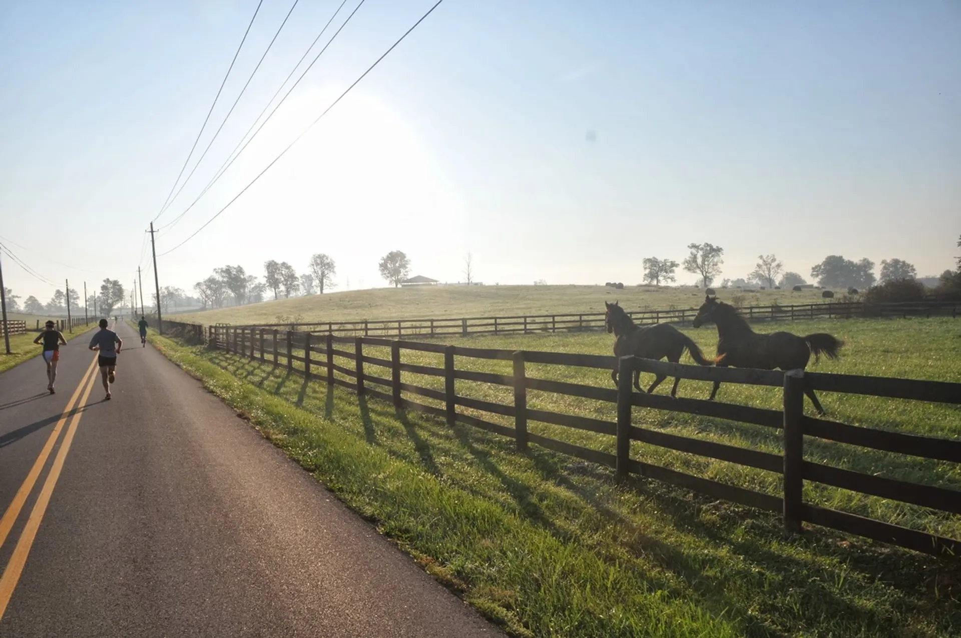 Iron Horse Half Marathon