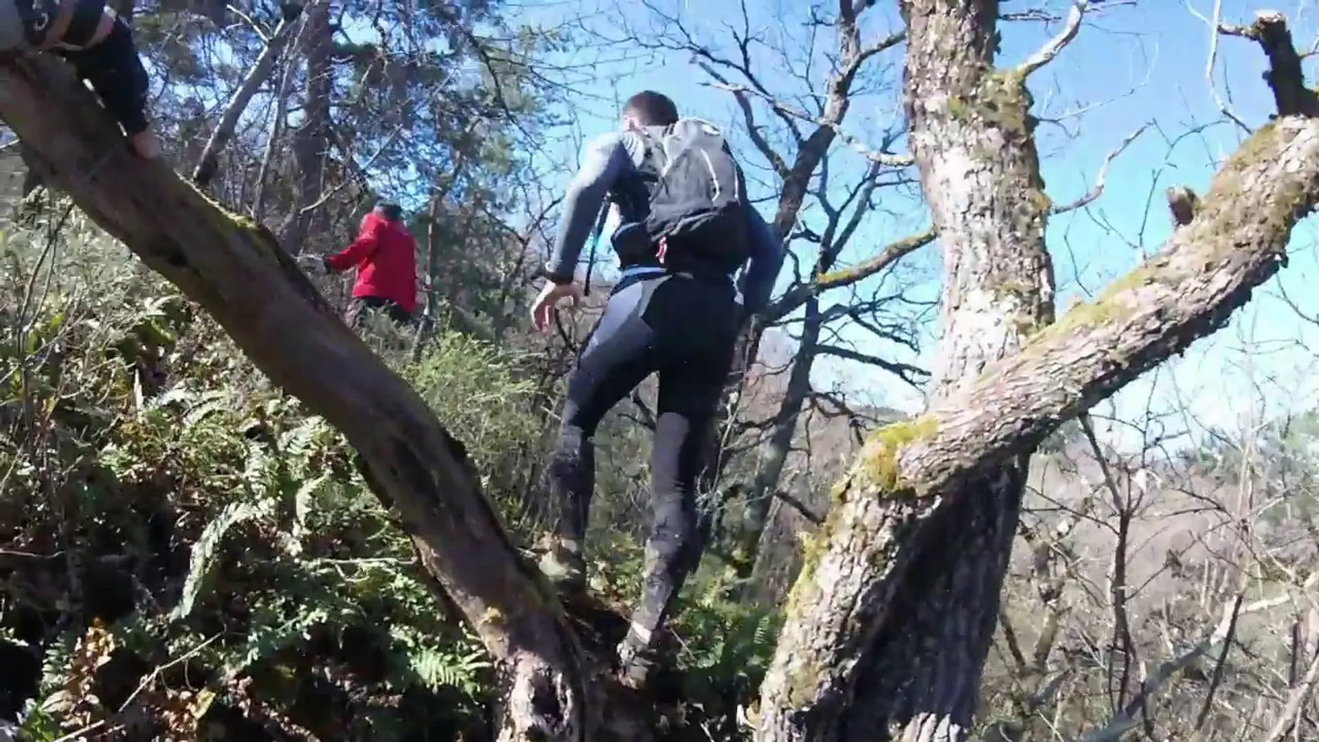 The image shows a group of people hiking or walking through a natural, wooded area