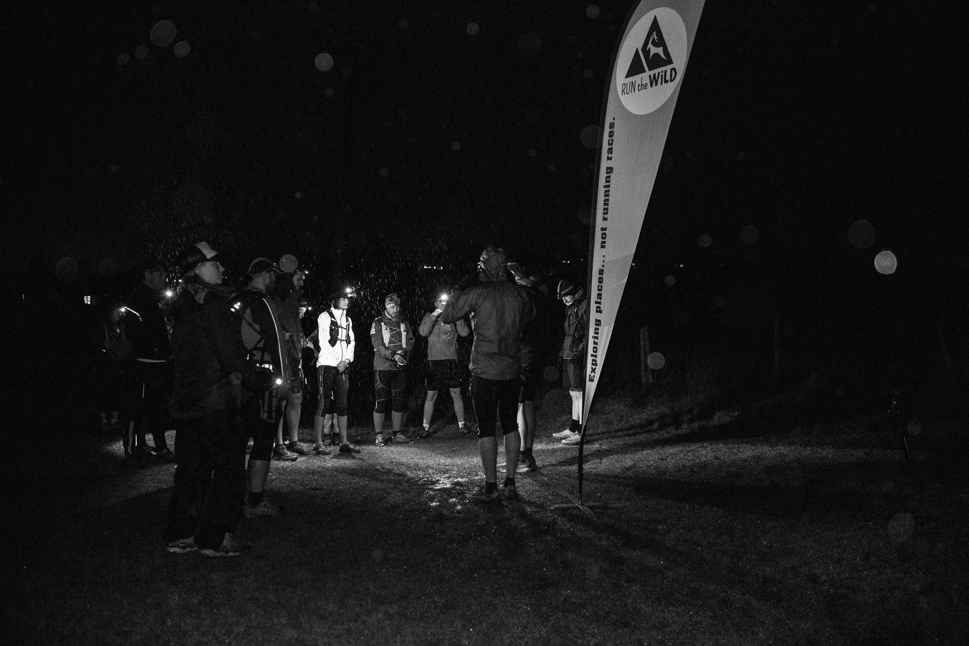 Run the Wild - Night Run - main photo