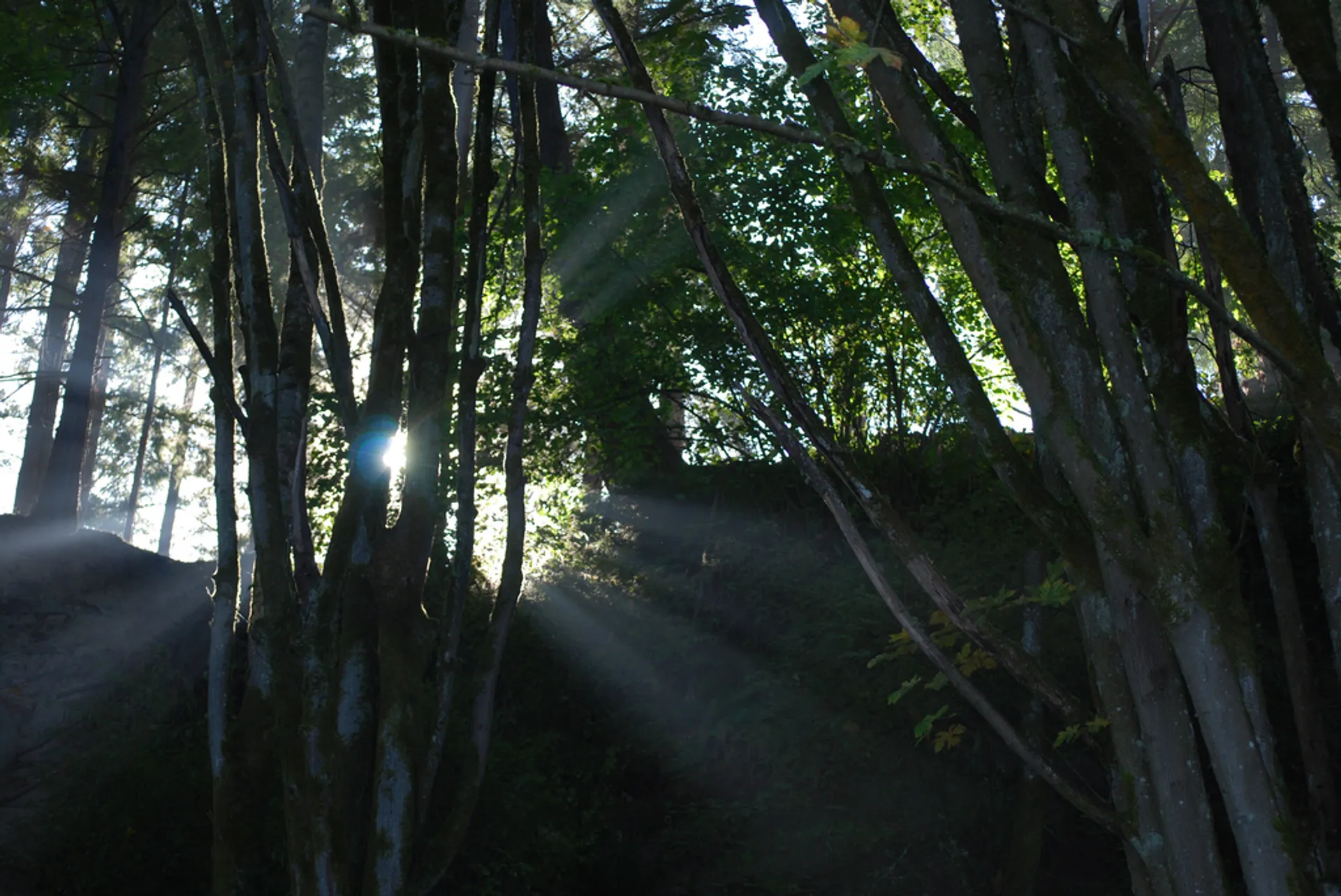 Defiance 50K/30K/15K - main photo