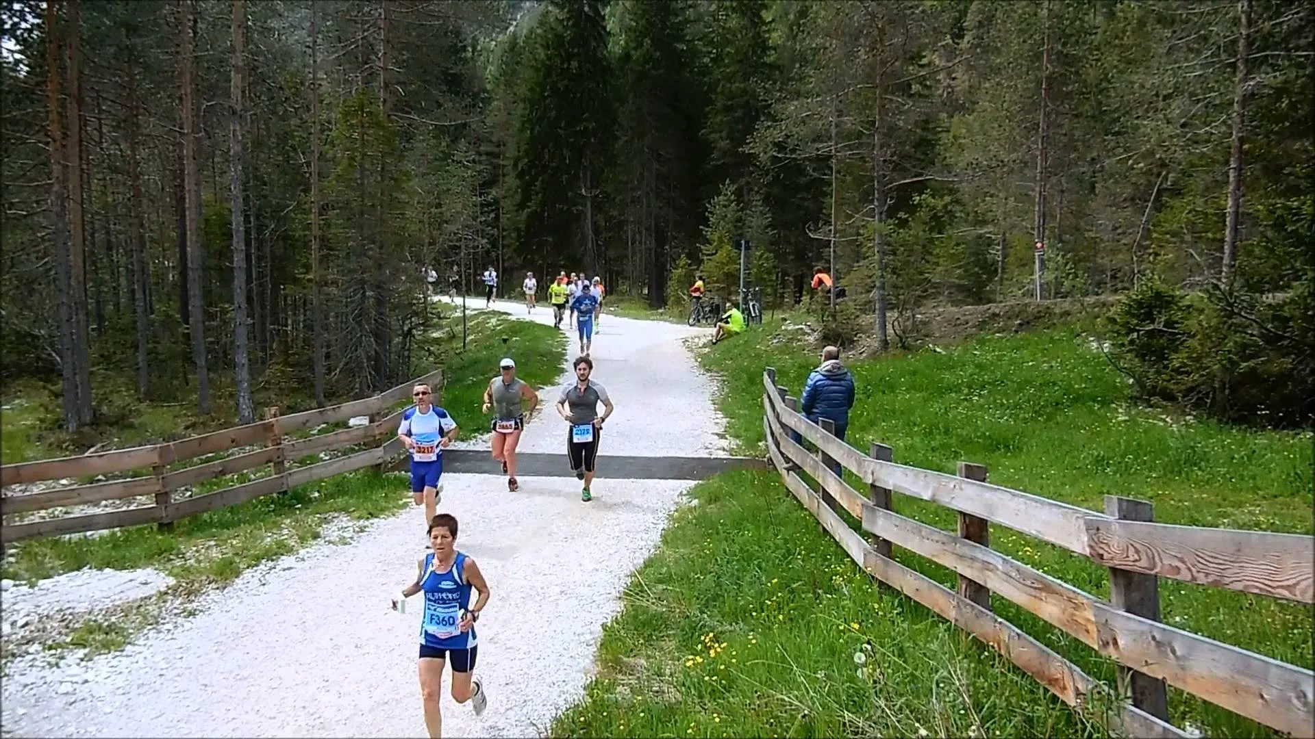 The image shows a group of runners participating in a race or running event. They