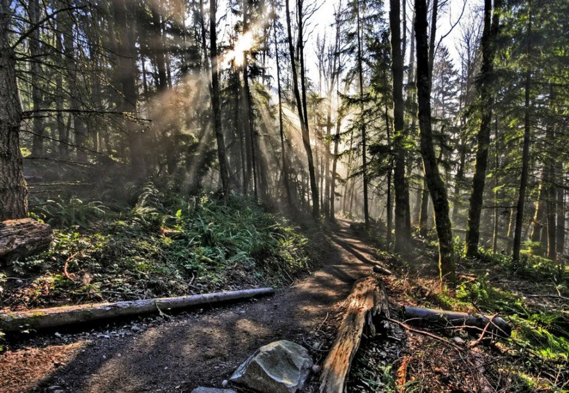 Tiger Peak Challenge - main photo