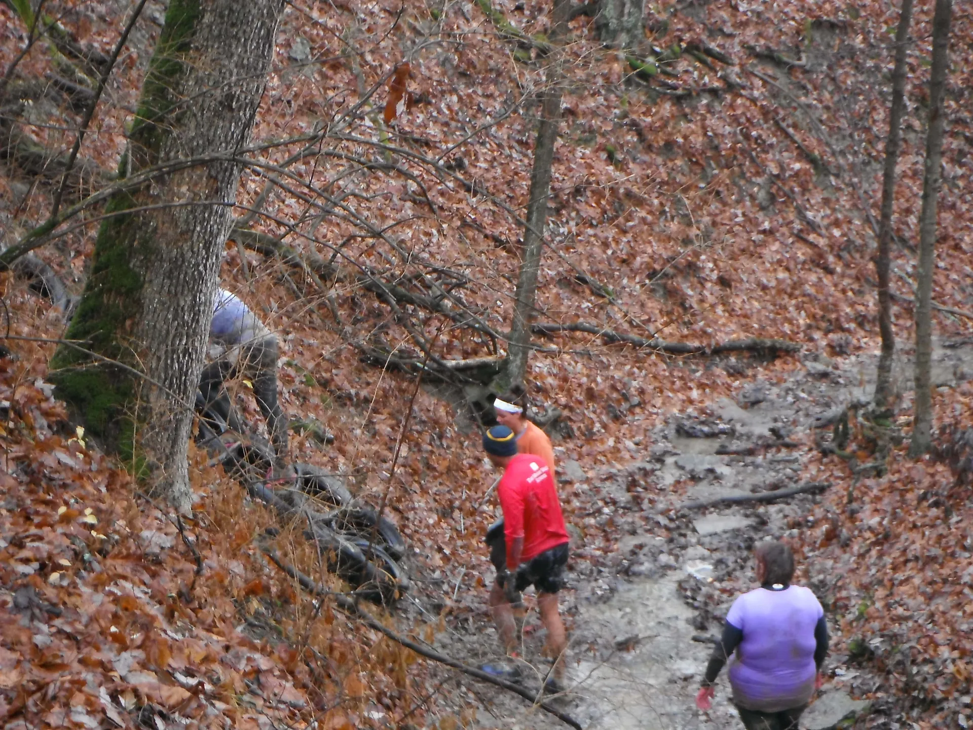 In this image, there are three individuals hiking or walking in a wooded area with