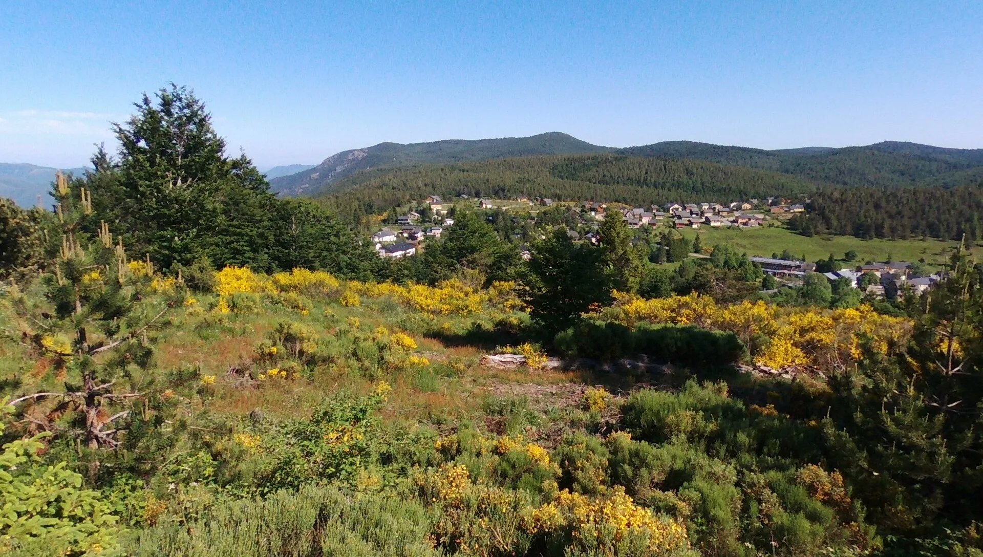 Trail du Mont-Aigoual