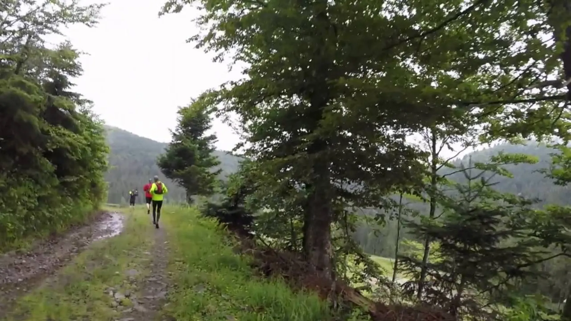 The image shows a dirt trail in a natural setting with green vegetation such as trees