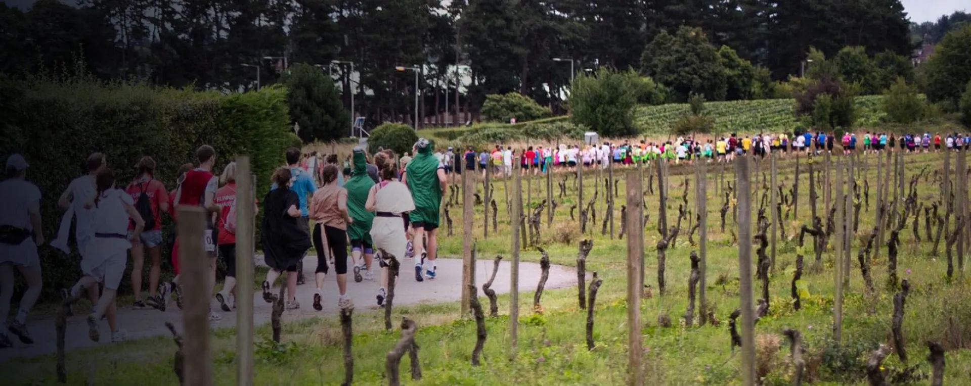 Bacchus Wine Half-marathon & 10K