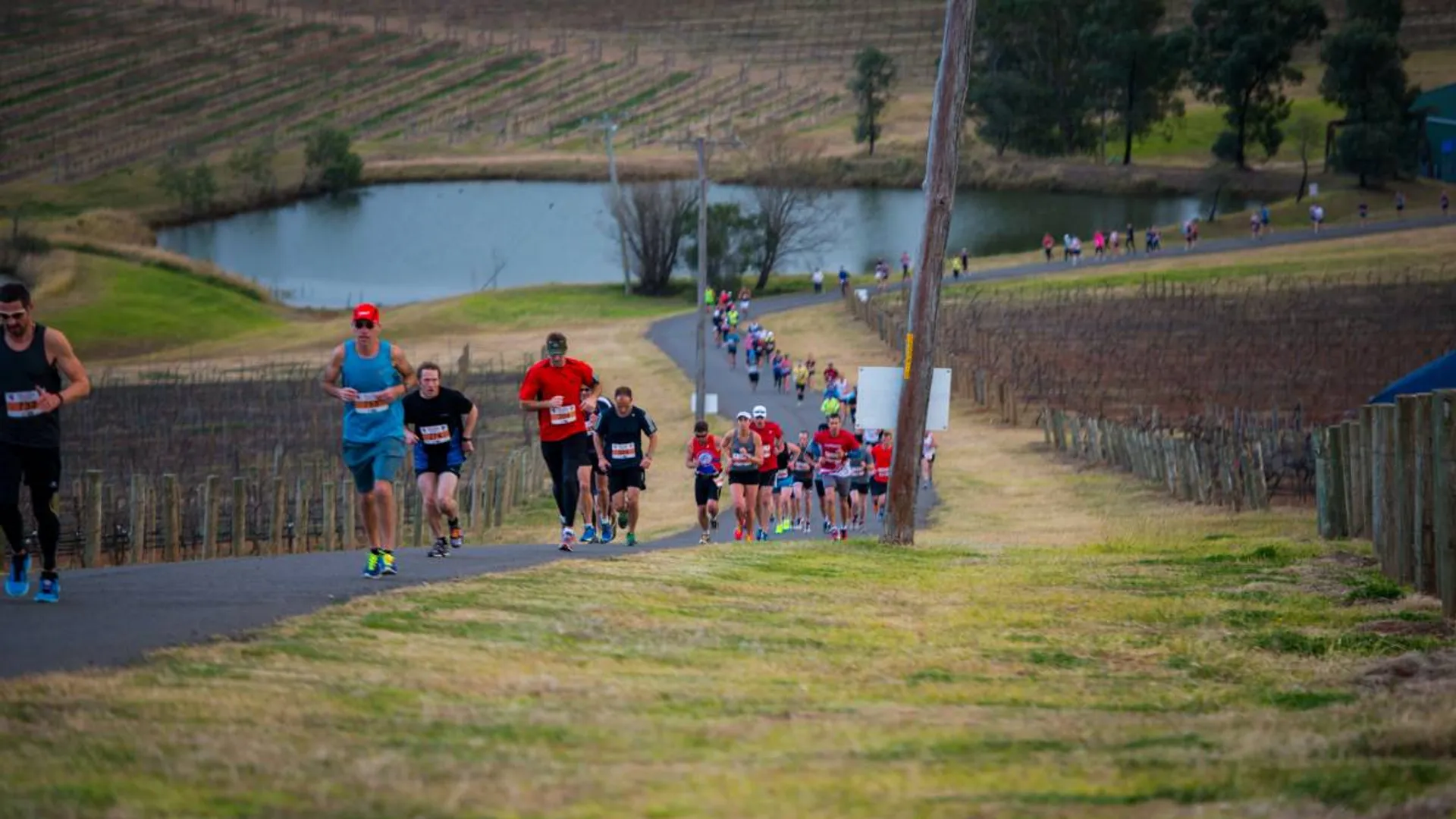 Hunter Valley Winery Running Festival