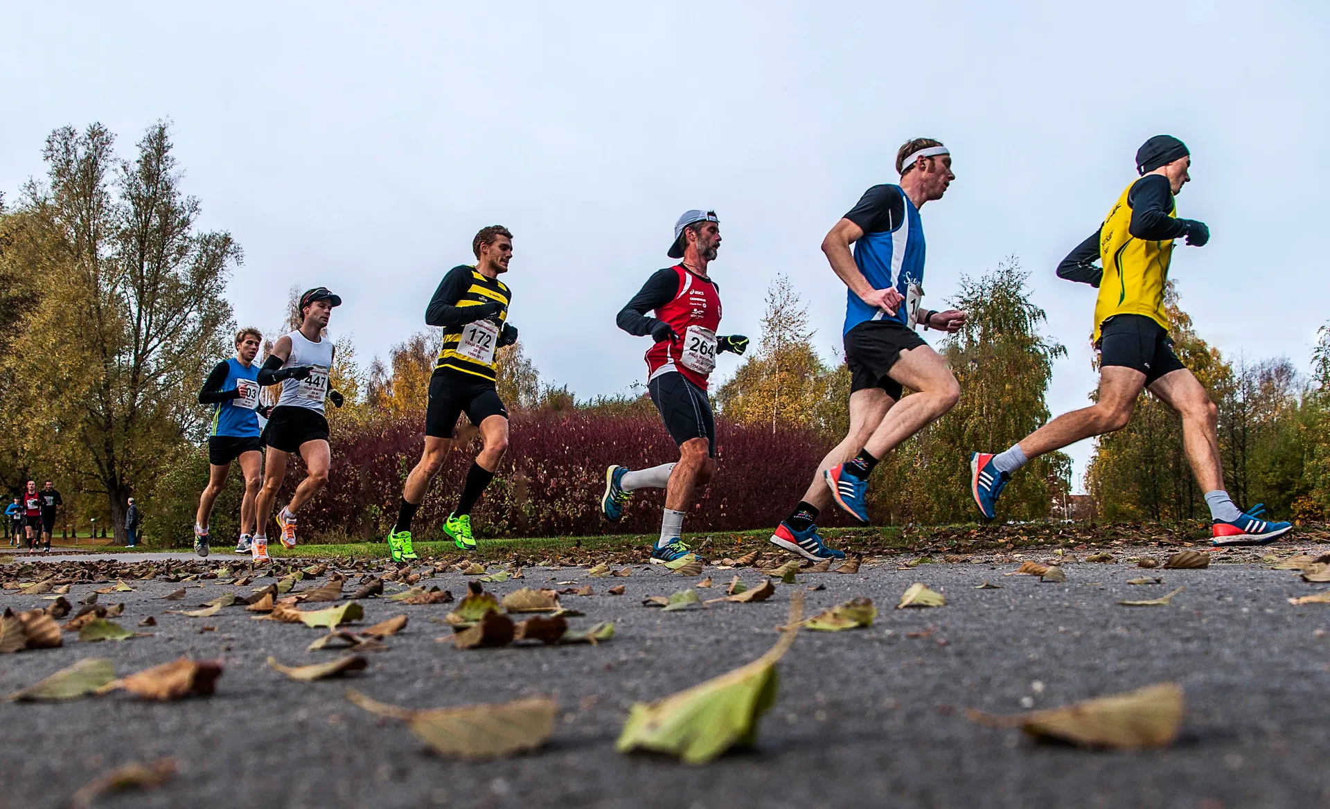 Växjö Marathon