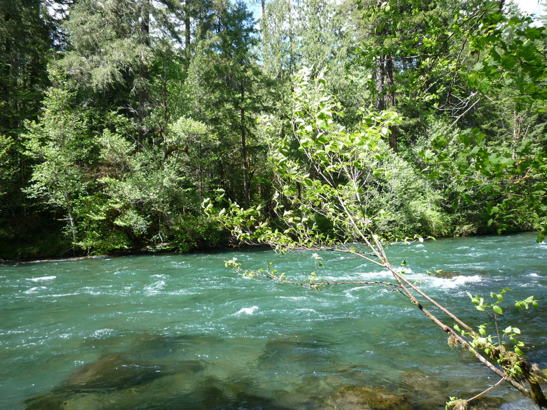 The image shows a vibrant, natural scene featuring a river with clear, blue-green