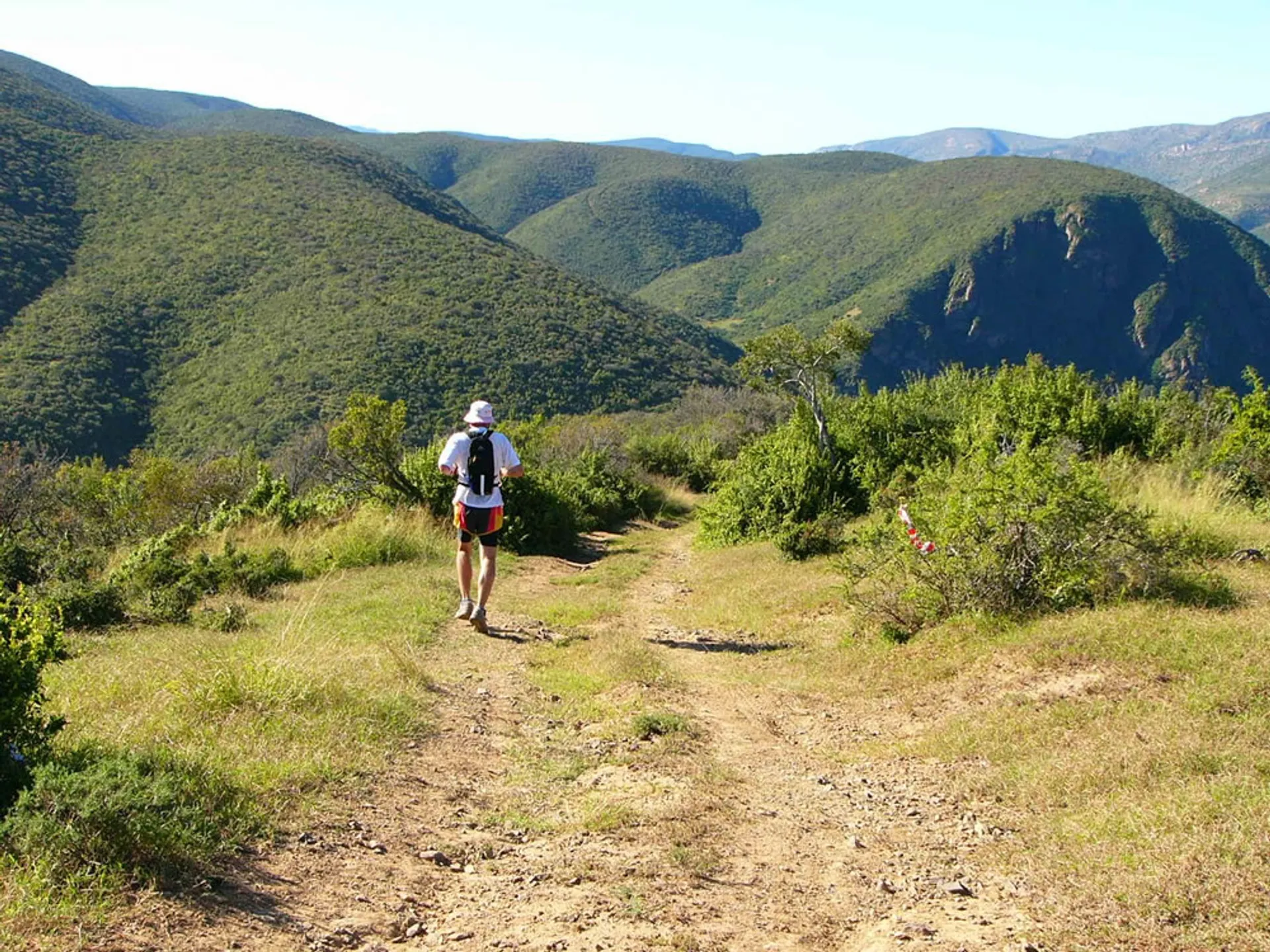 Addo Elephant Trail Run