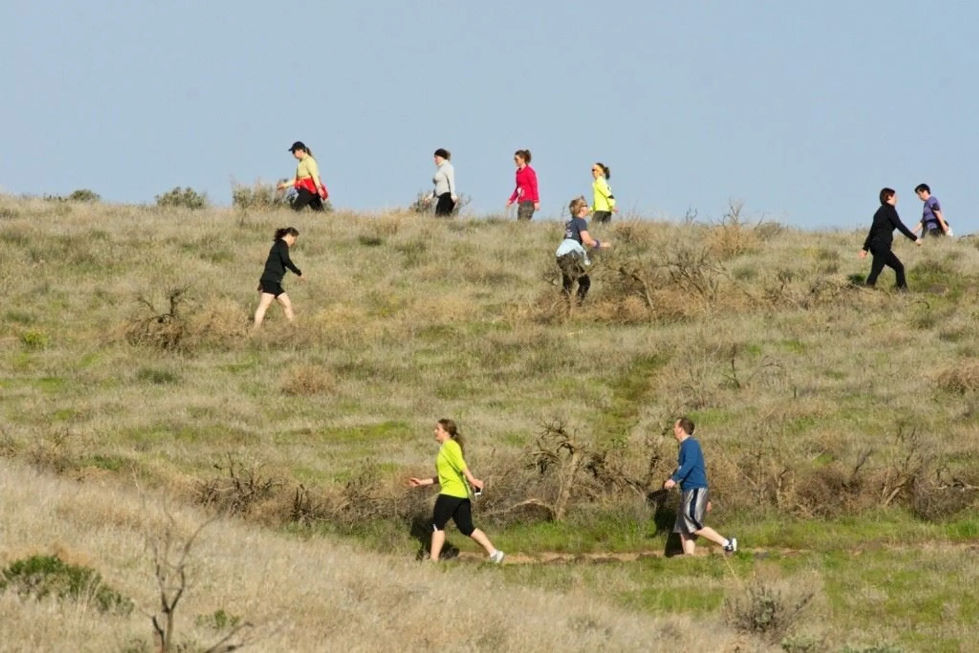 Badger Mountain Challenge