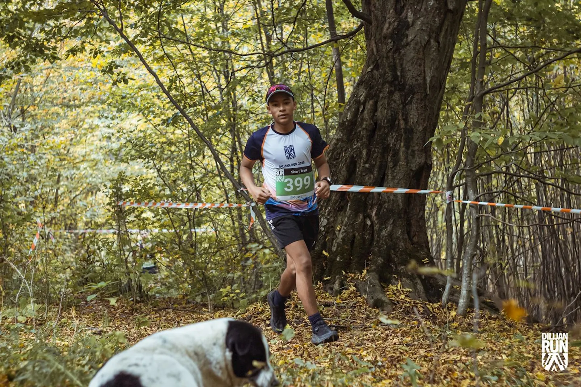Image of Dilijan Run