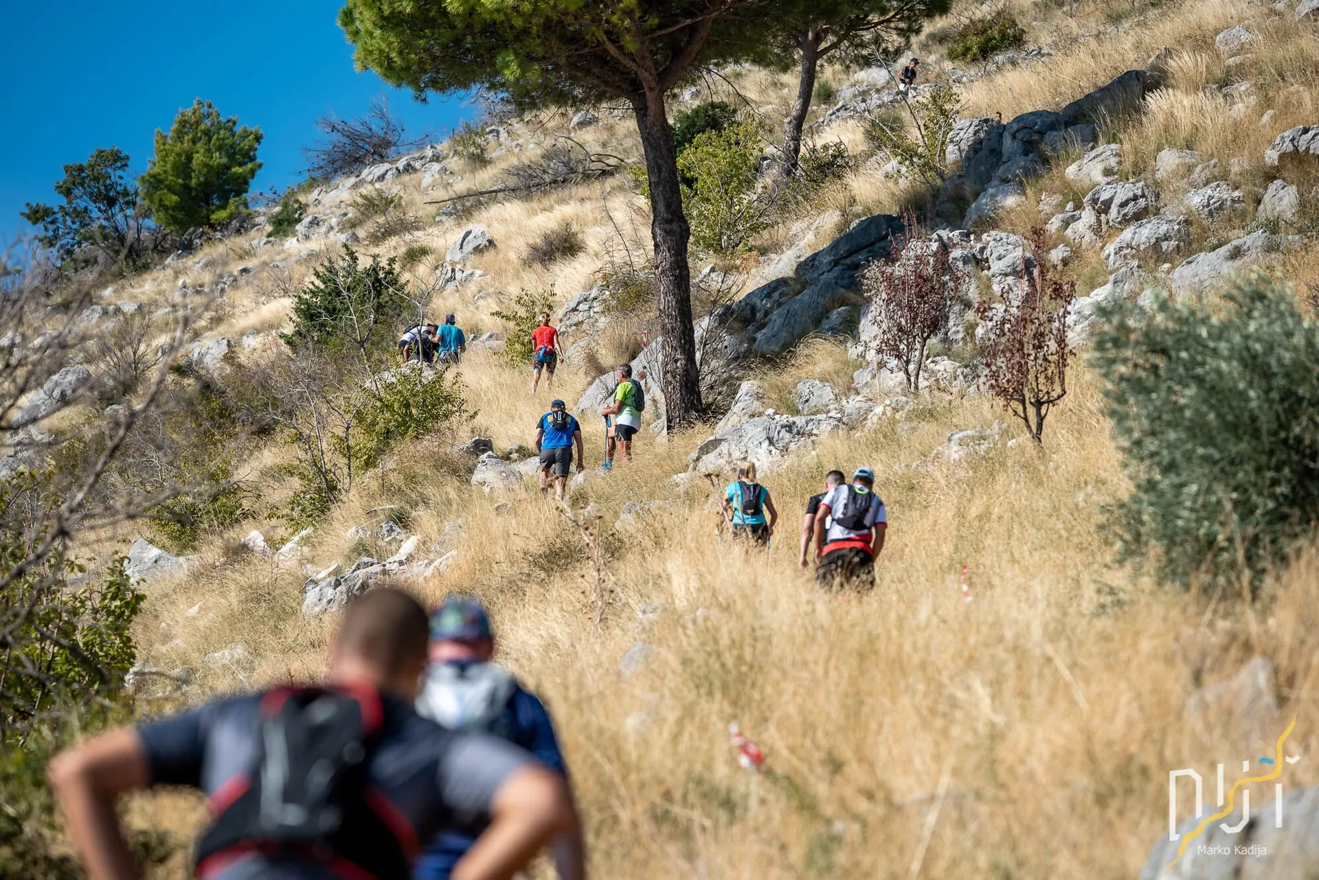 Dalmacija Ultra Trail