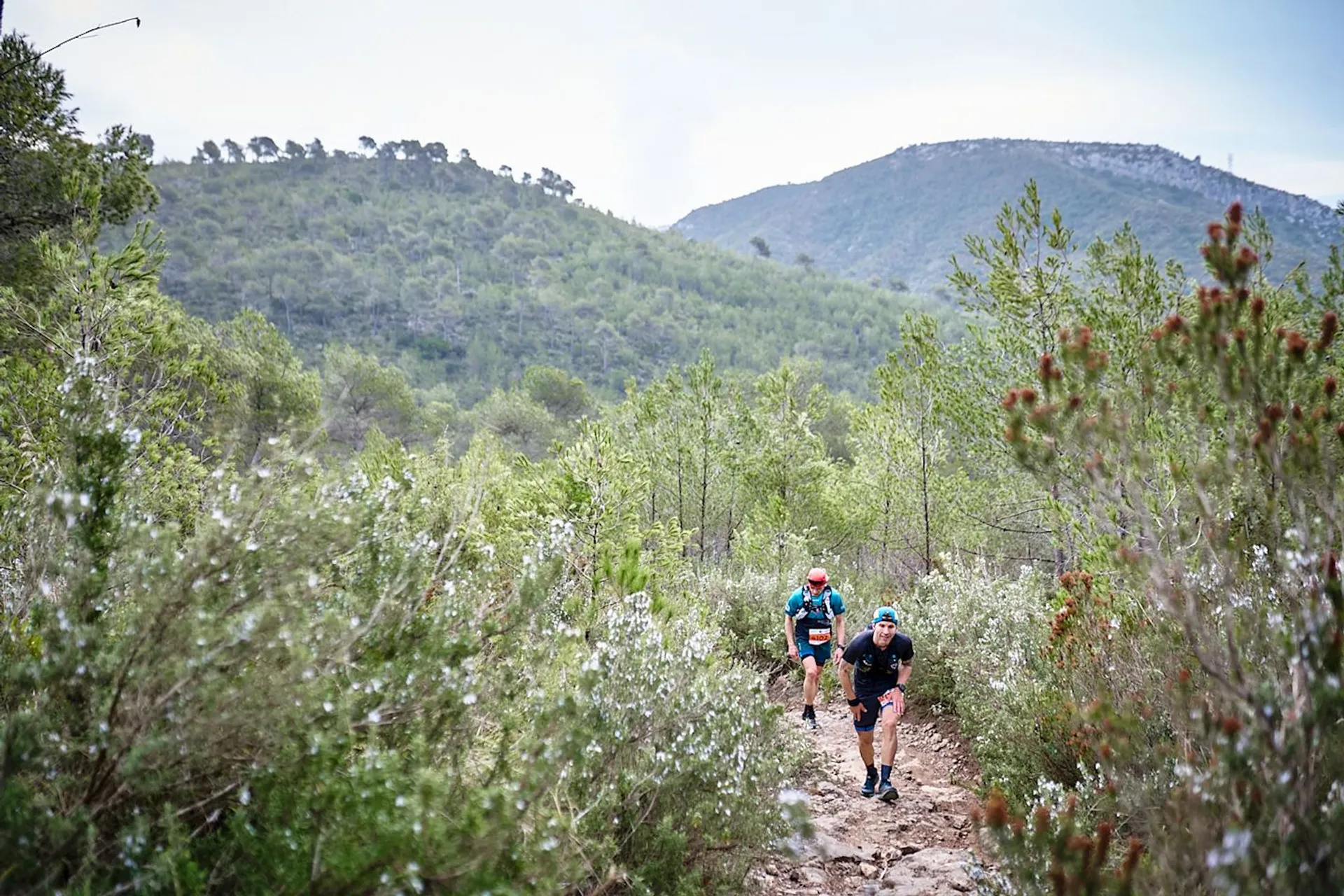 Ultra Trail Barcelona