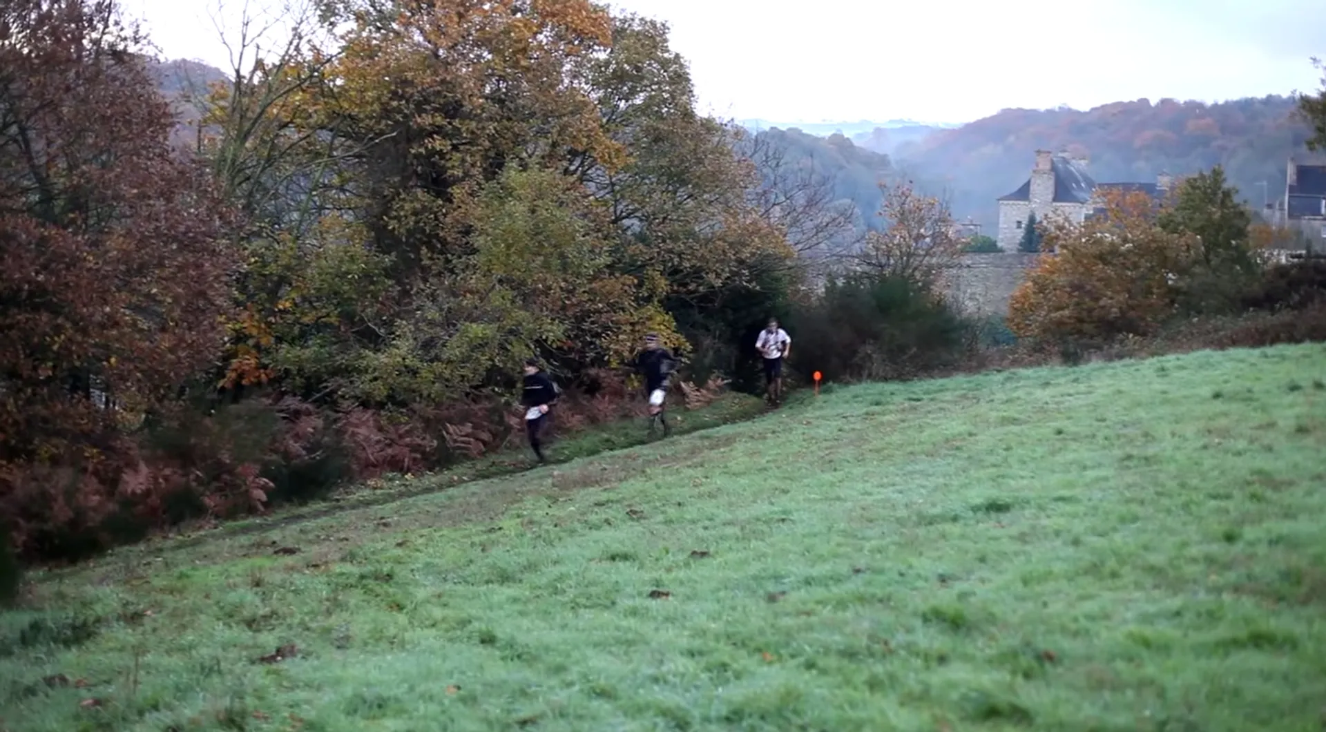 The image shows a scenic outdoor setting with green grass and trees displaying autumn foliage in