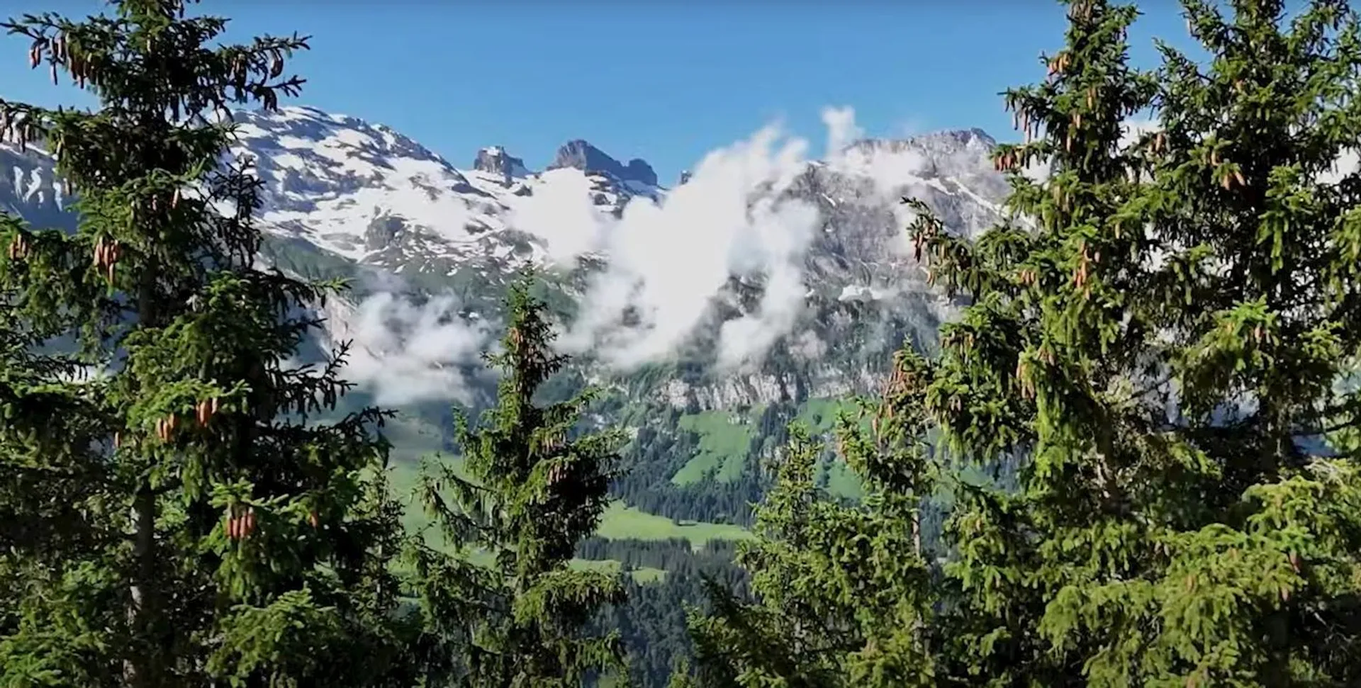 RunThrough Trails Engelberg