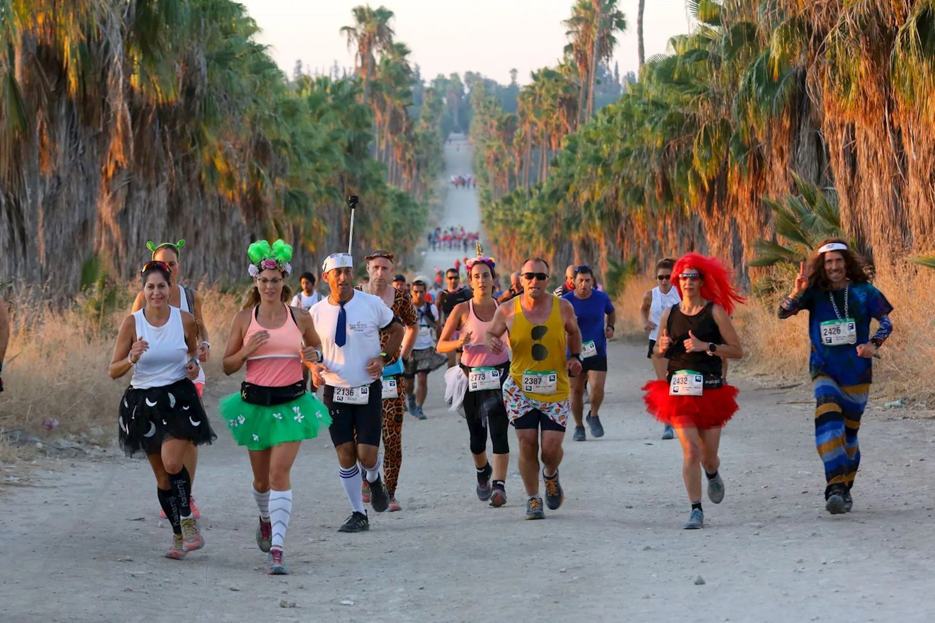 Half Marathon du Beaujolais Israel